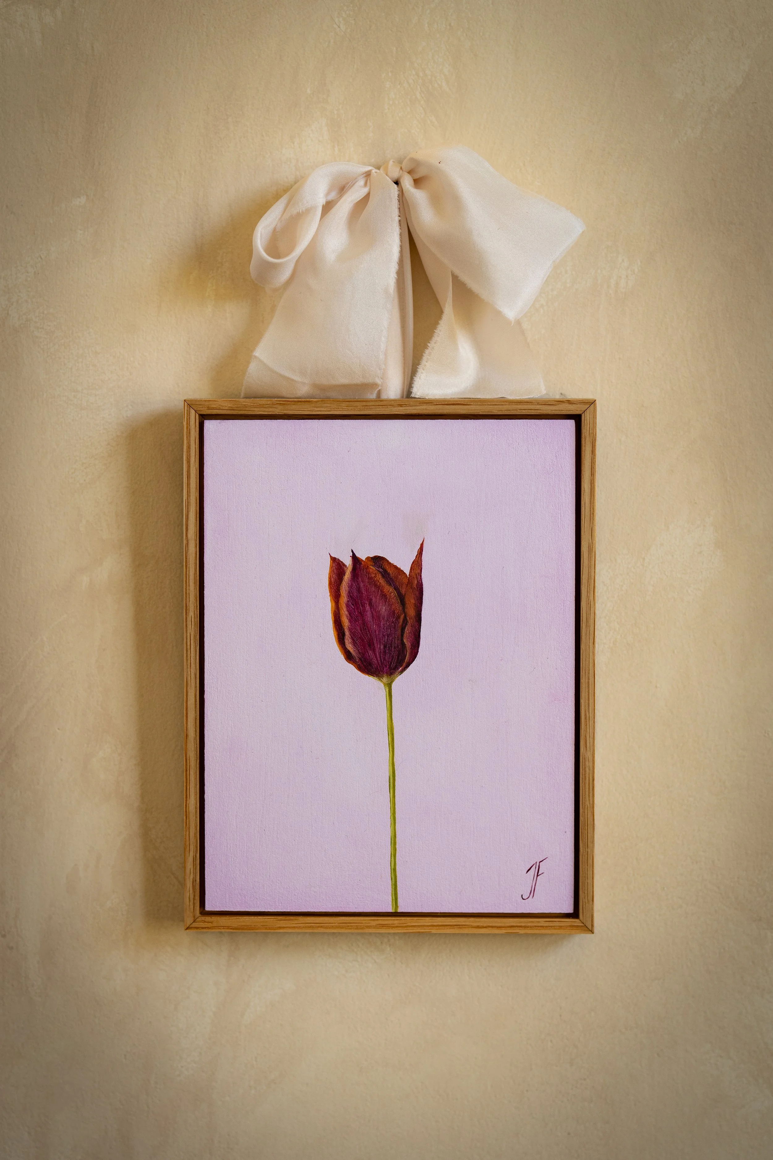 Tulip