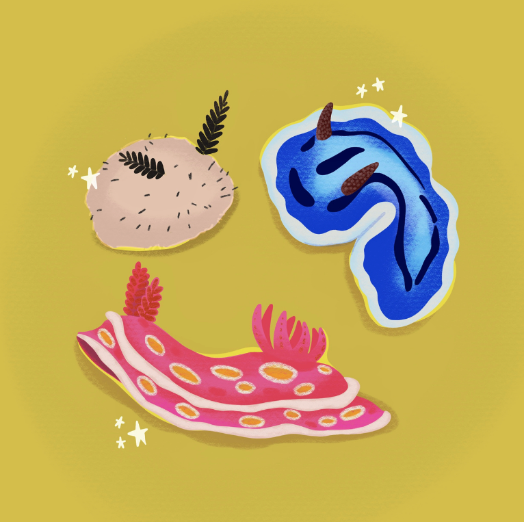 slugs.png