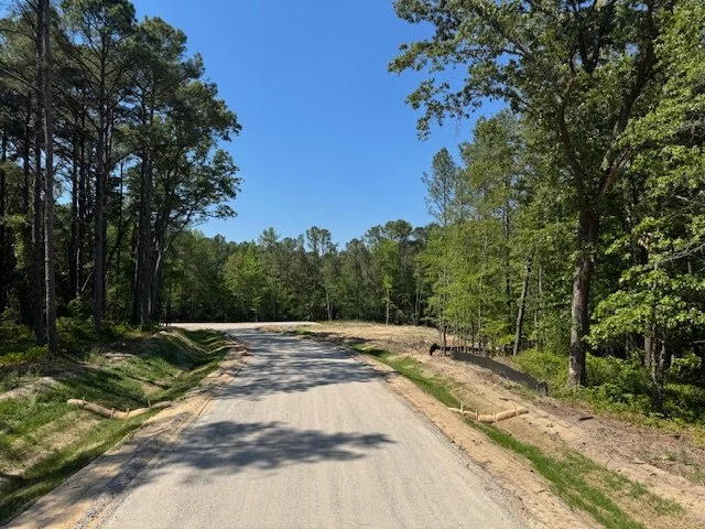 IMG_2768.jpg