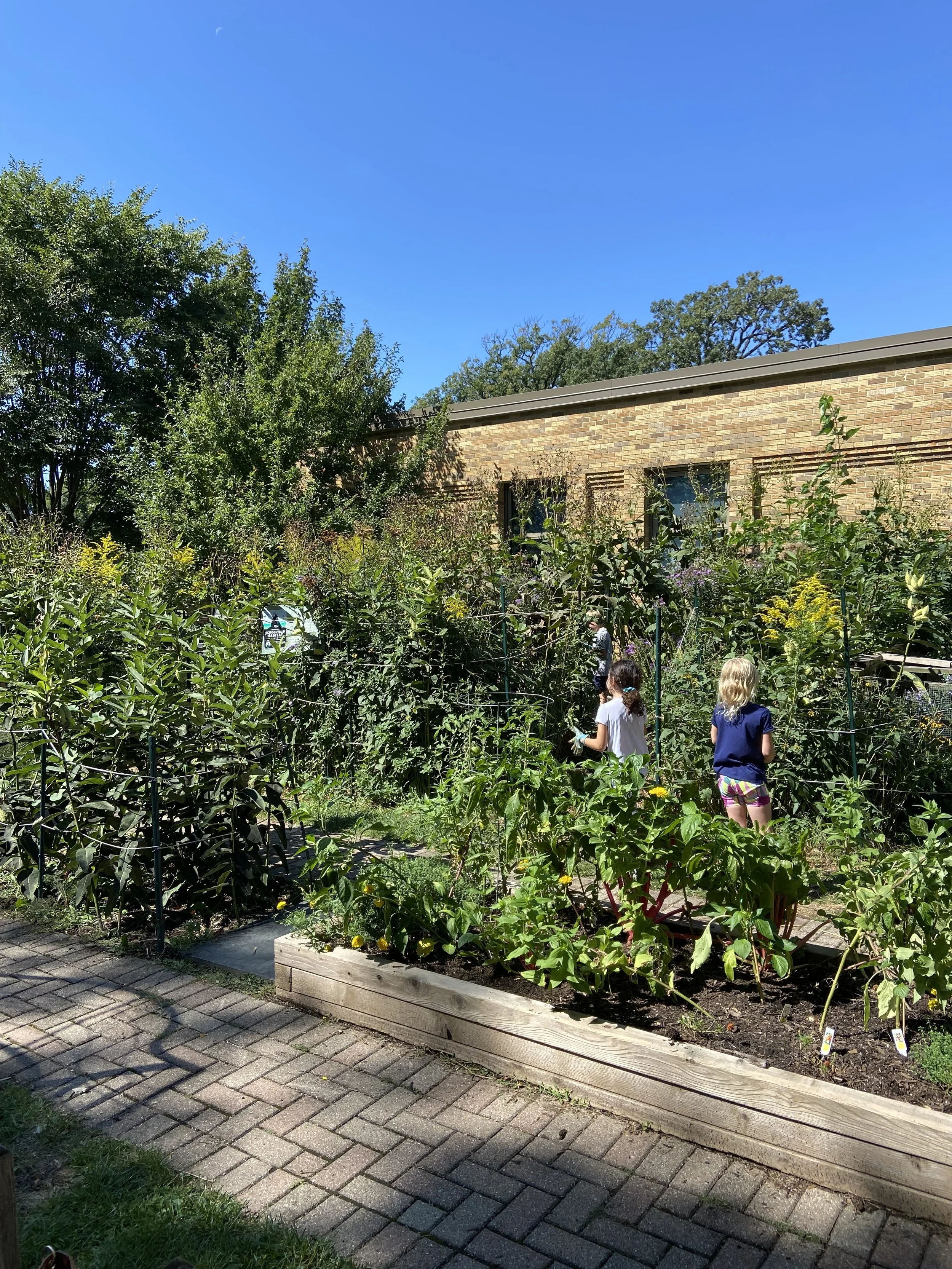 McKenzie Garden Volunteers