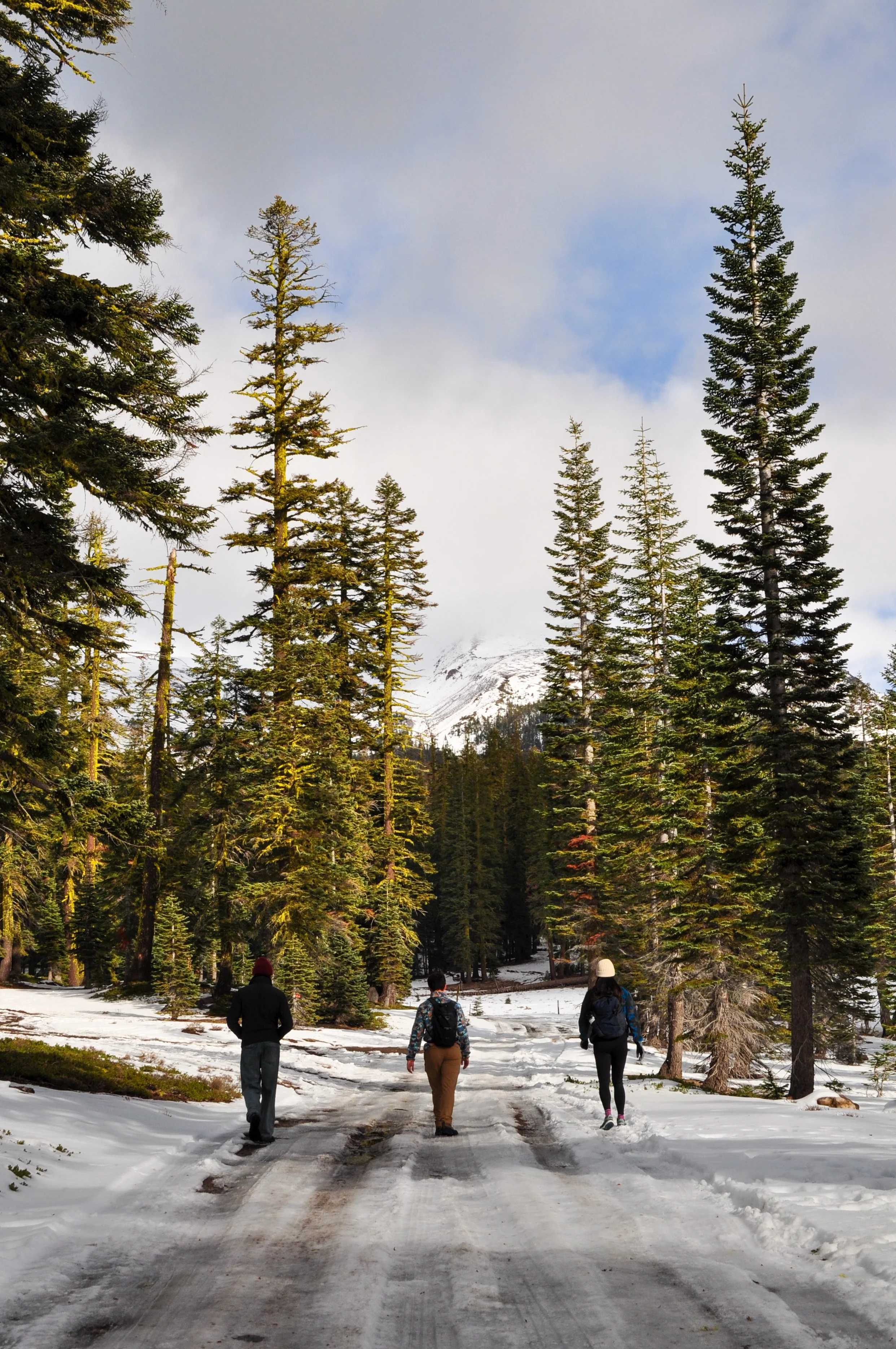 MtShasta-130.jpg