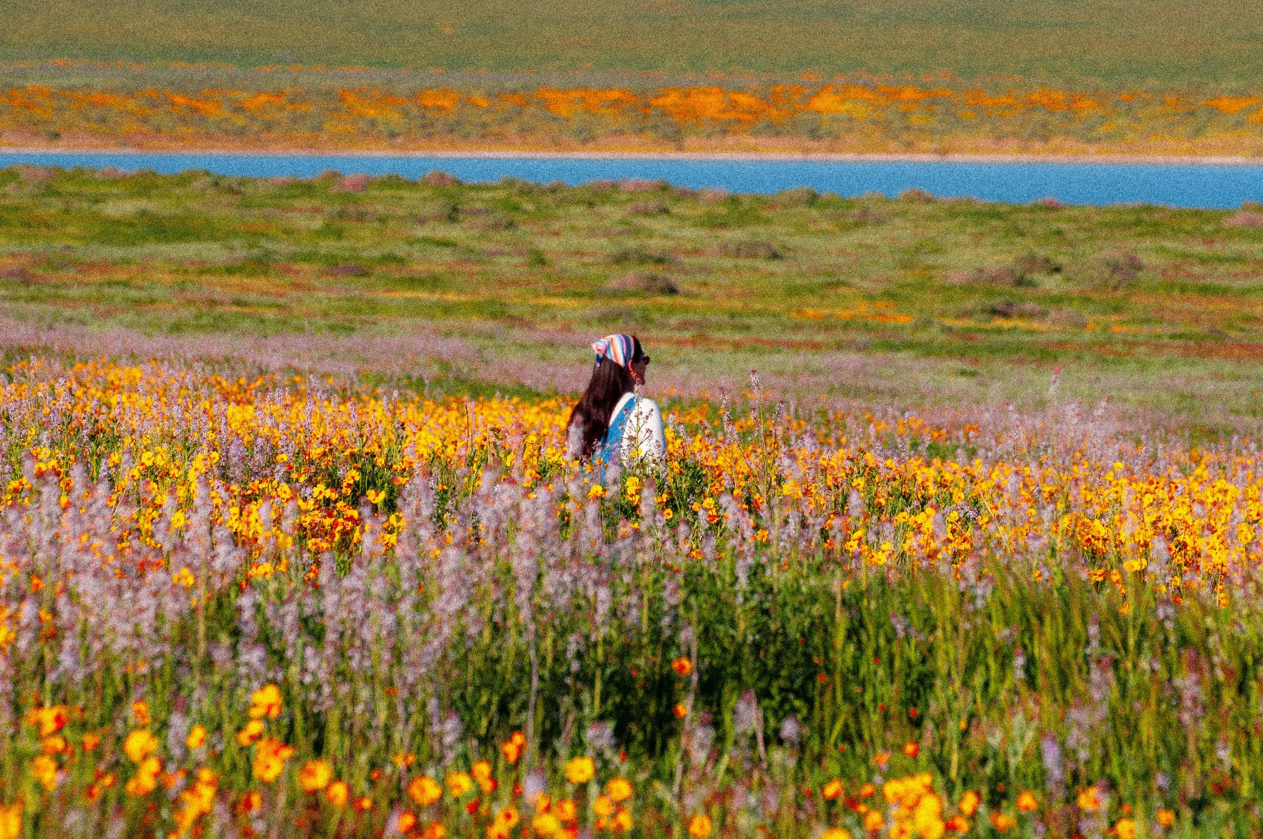 CarrizoPlain-42.jpg