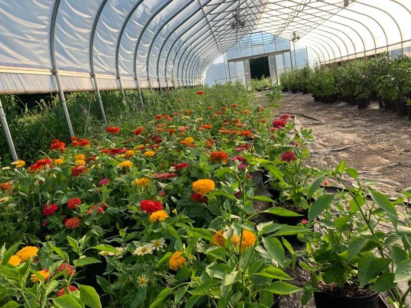 Amanda Rheaume - 218298578_876884586520014_495251183832024279_n.jpg