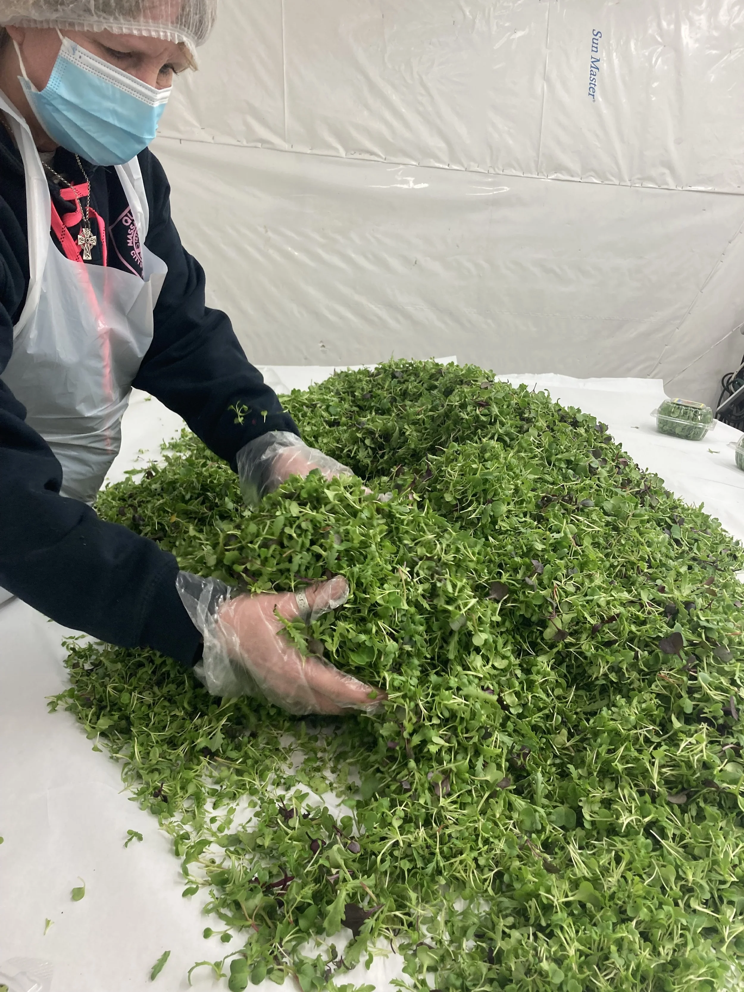 Charles River Farm (MA) - image3 (1).jpeg