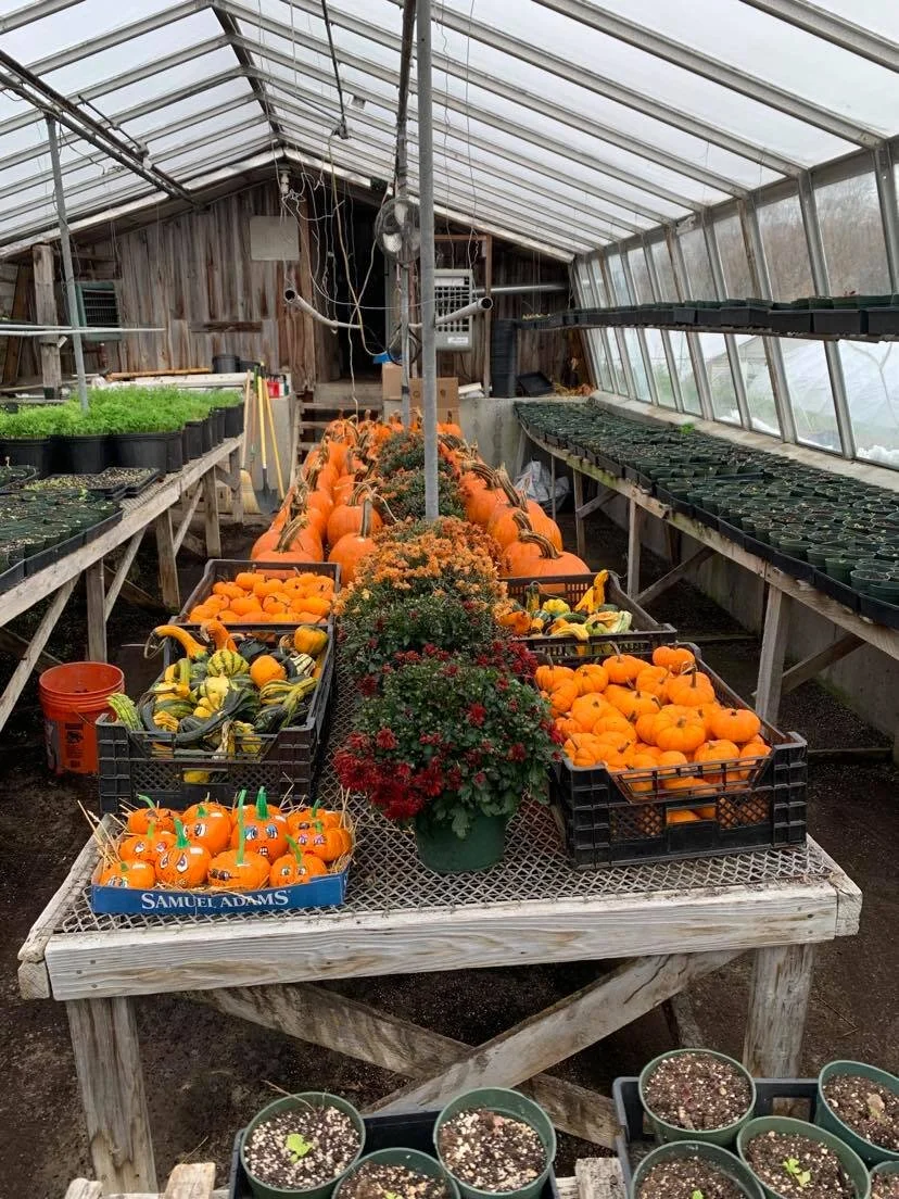 Amanda Rheaume - 221318951_871061183501229_2142185693729520948_n.jpg