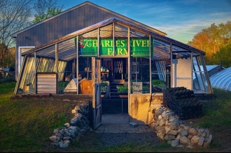 Charles River Farm (MA) - IMG_1655.jpeg