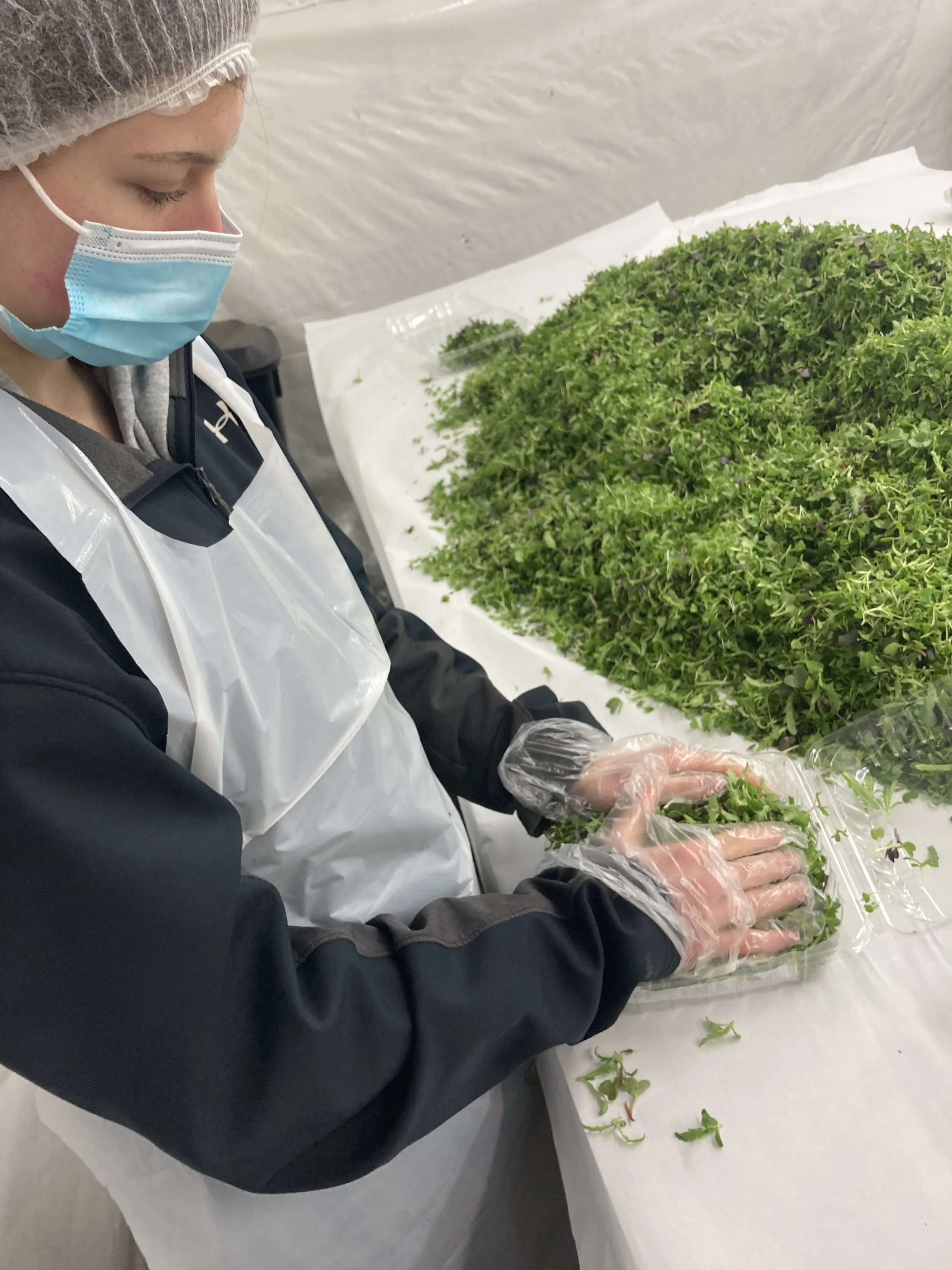 Charles River Farm (MA) - image1 (1).jpeg