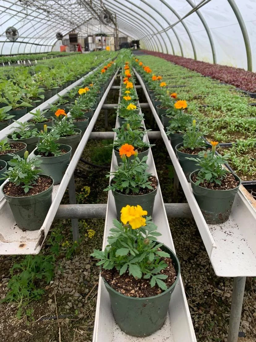 Amanda Rheaume - 219428522_842779016361339_9070751931194904579_n.jpg