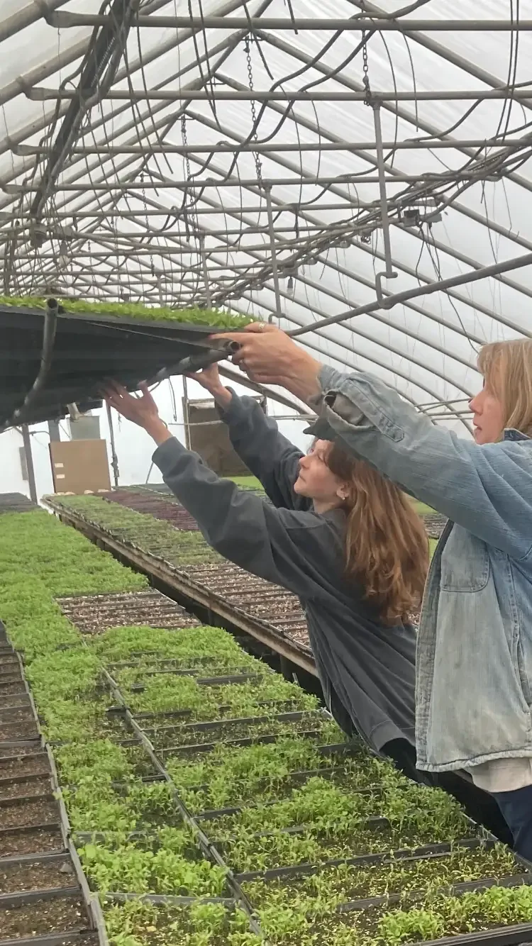 Charles River Farm (MA) - IMG_1645.webp