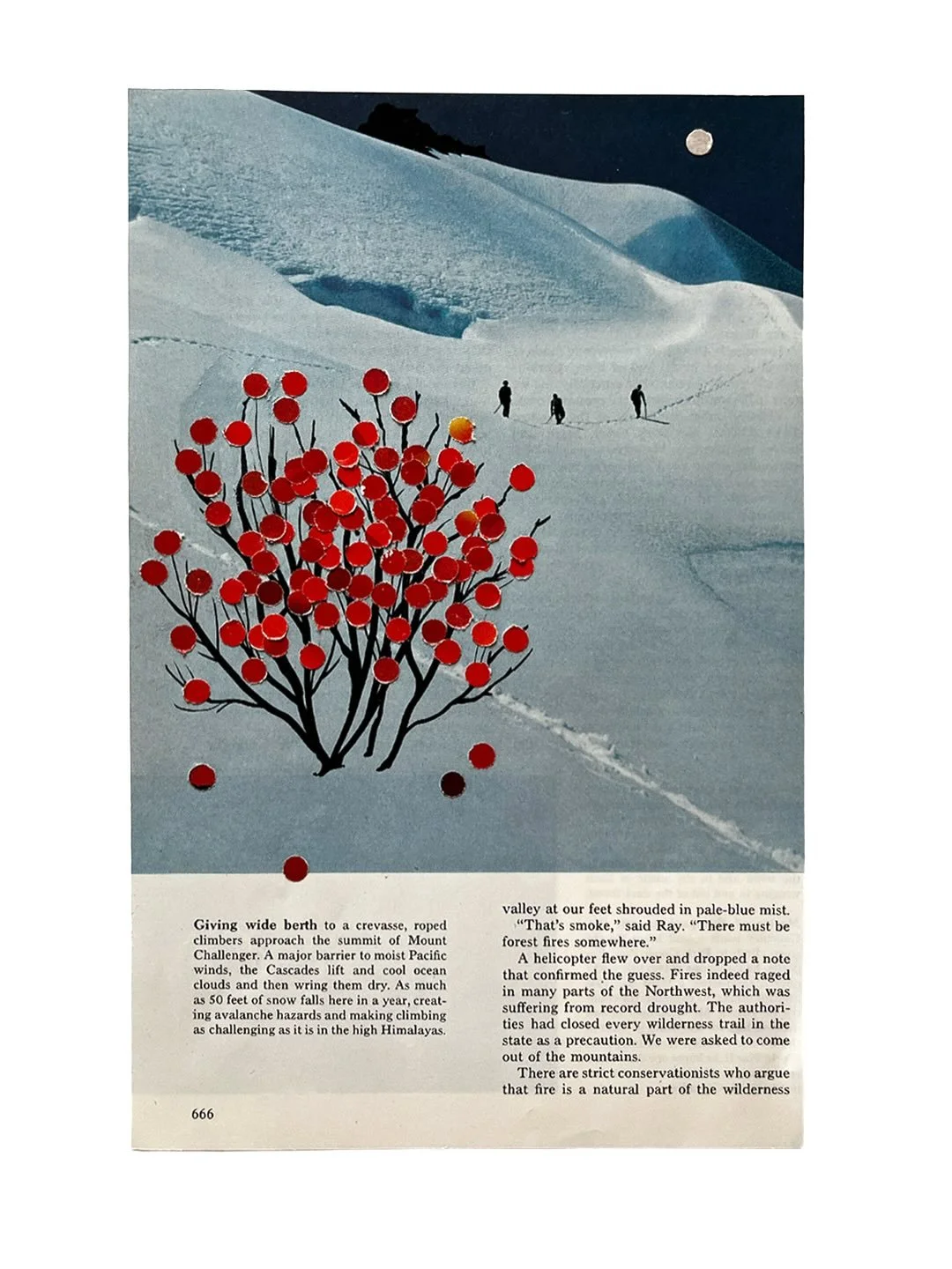 Some solstice collages (babe wake up the days are getting longer)❣️❄️🫖✨