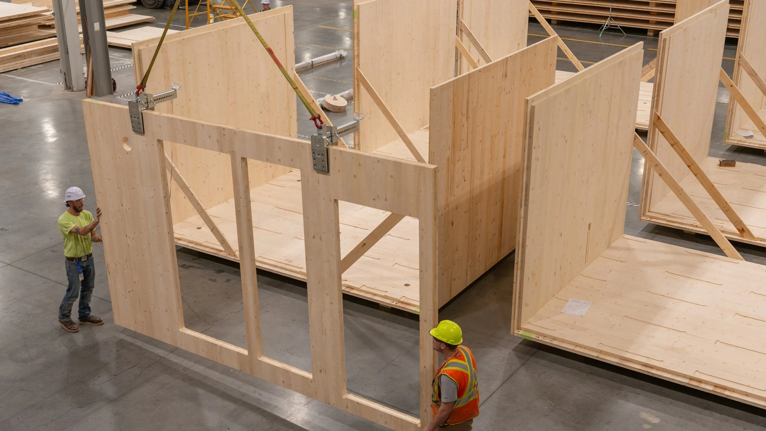 22373 Green Canopy NODE  CLT plant 251.jpg