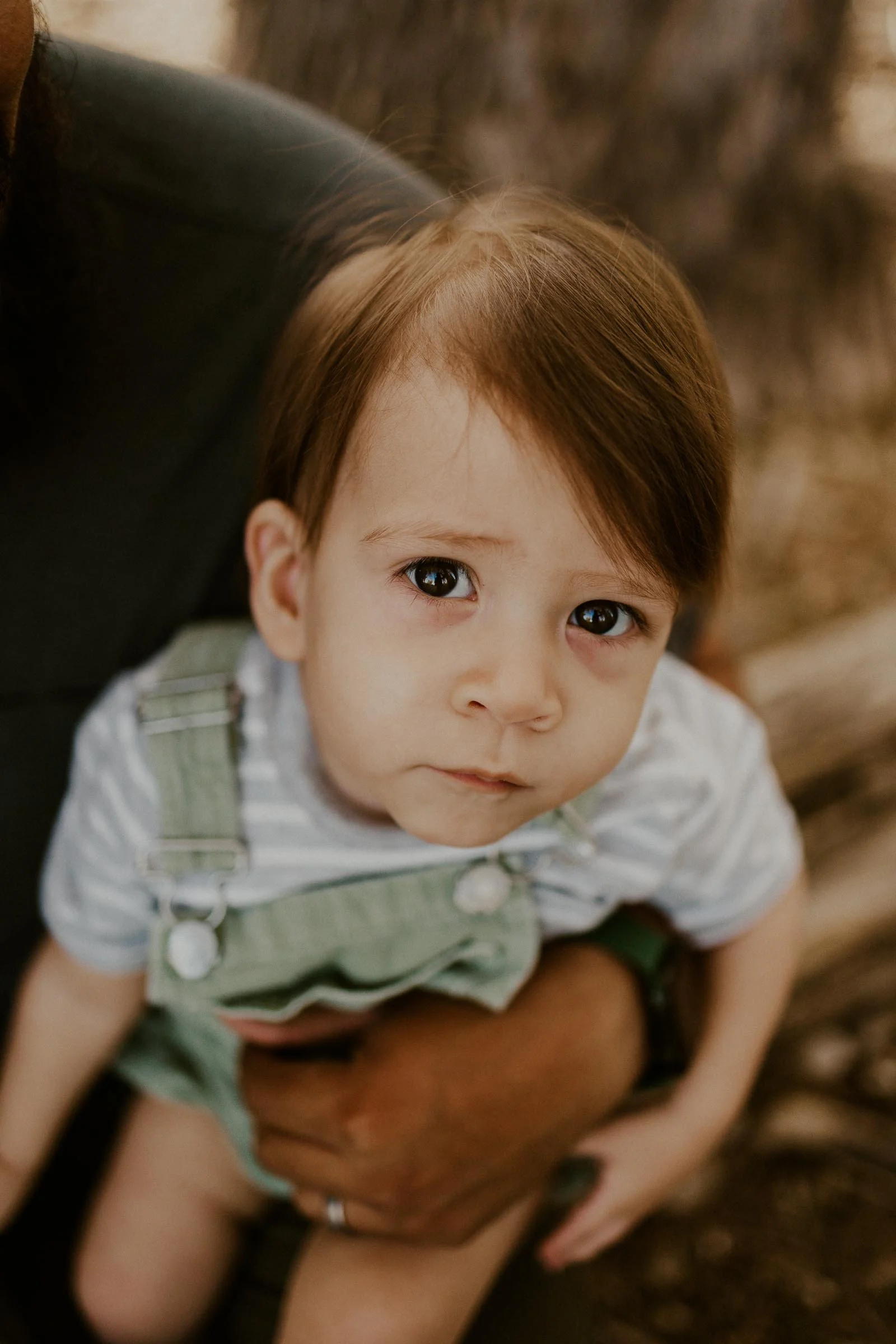 while sitting on dad’s lap, son looks questioningly at camera in idaho