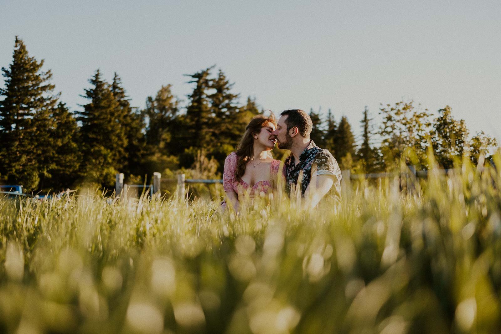  A couple sits closely together in a grassy field under a clear sky. They are surrounded by tall grass and trees in the background, sharing a tender moment in the warm sunlight. 