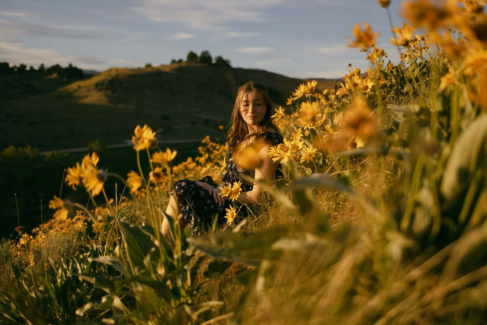 LilyAnn // Boise Foothills