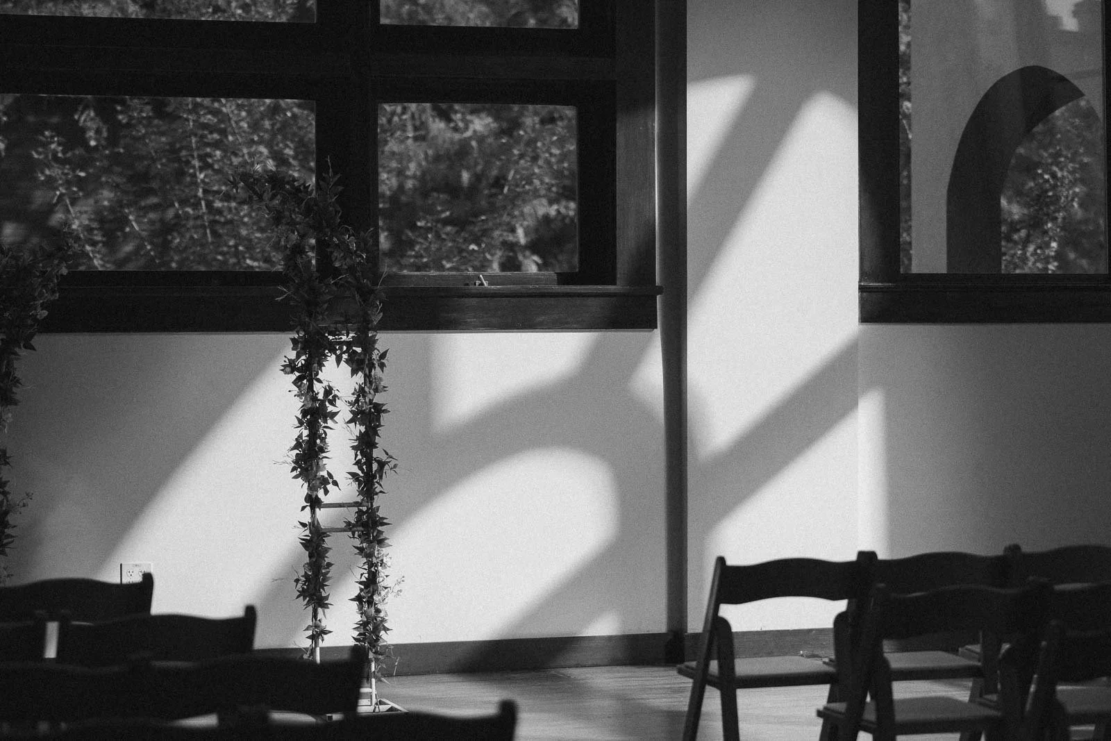  Black and white photo of an empty room with wooden chairs arranged in rows, sunlight casting shadows on a white wall, and leafy decorations near large windows. 