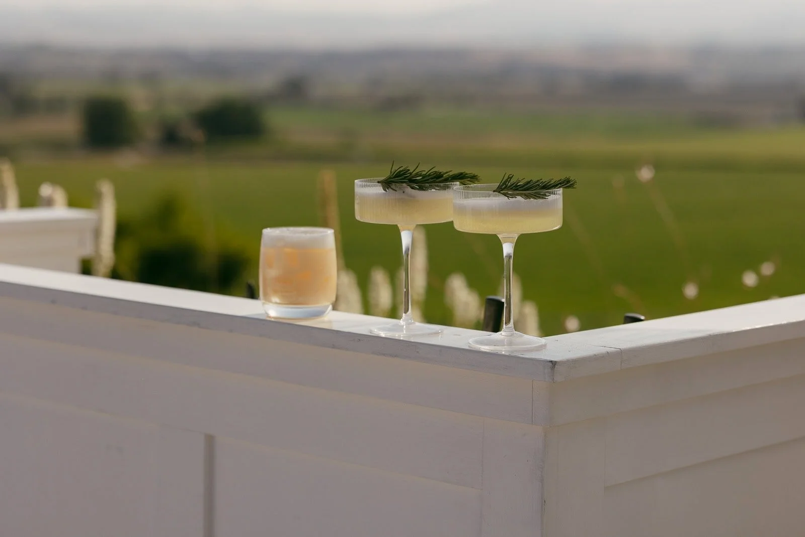  Two cocktails in coupe glasses garnished with rosemary and one short drink on a white ledge, with a blurred green field and landscape in the background. 