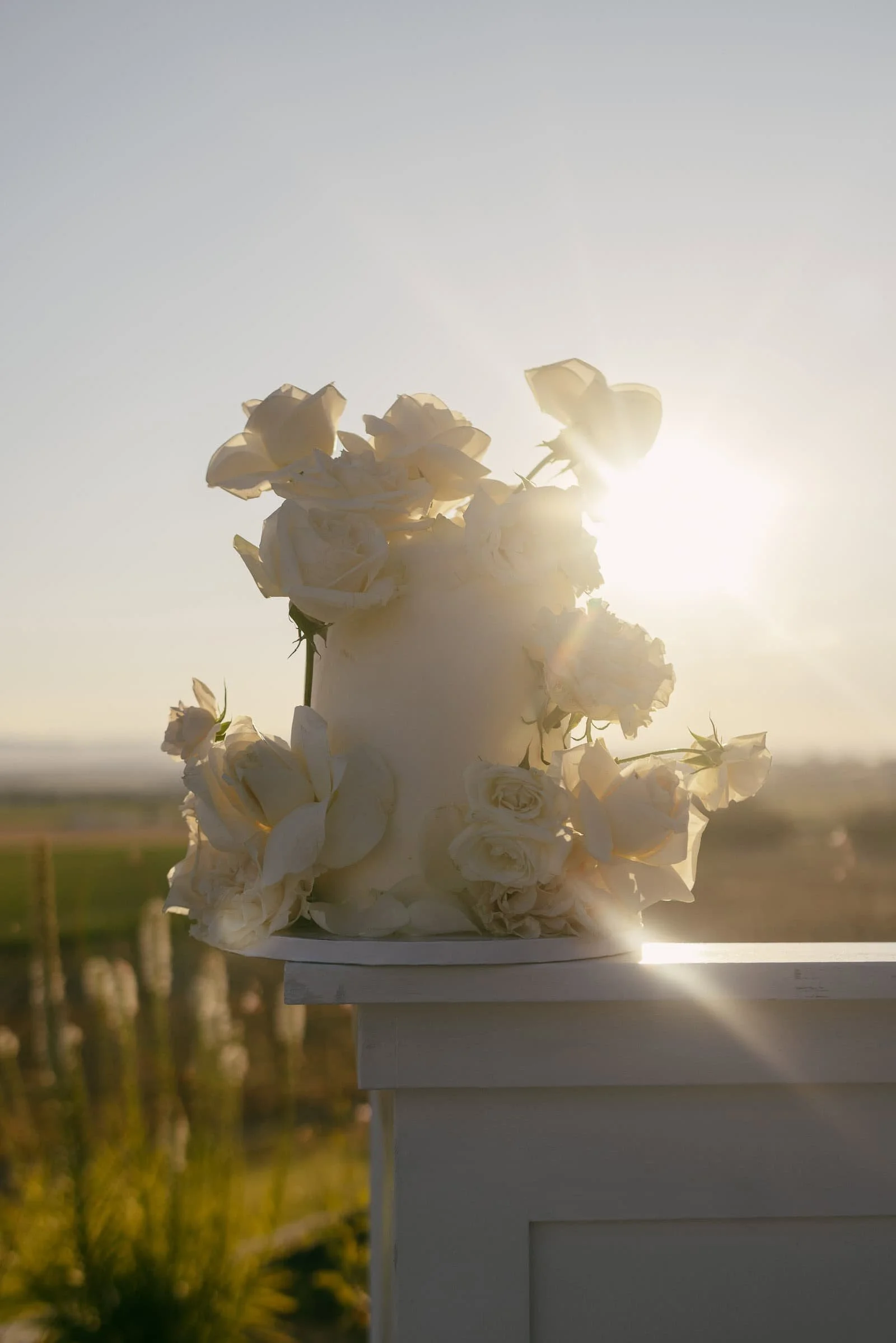  A white cake decorated with white roses sits outdoors on a white surface, with sunlight shining brightly behind it and a blurred landscape in the background. 