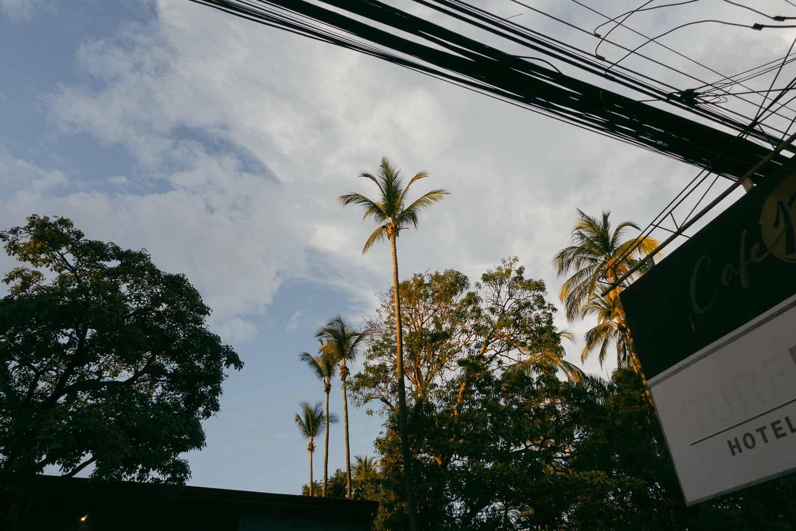  Tall palm trees and leafy branches are silhouetted against a blue sky with scattered clouds. Overhead power lines and part of a building sign are visible in the foreground. 