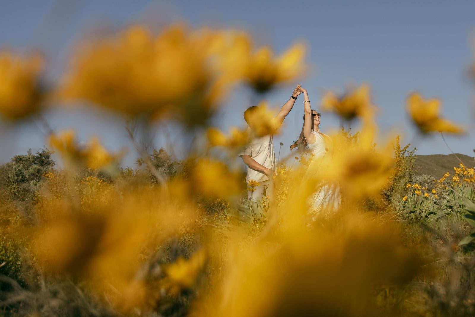  A couple dances joyfully in a field of yellow wildflowers, partially obscured by the blooms in the foreground, under a clear blue sky. 