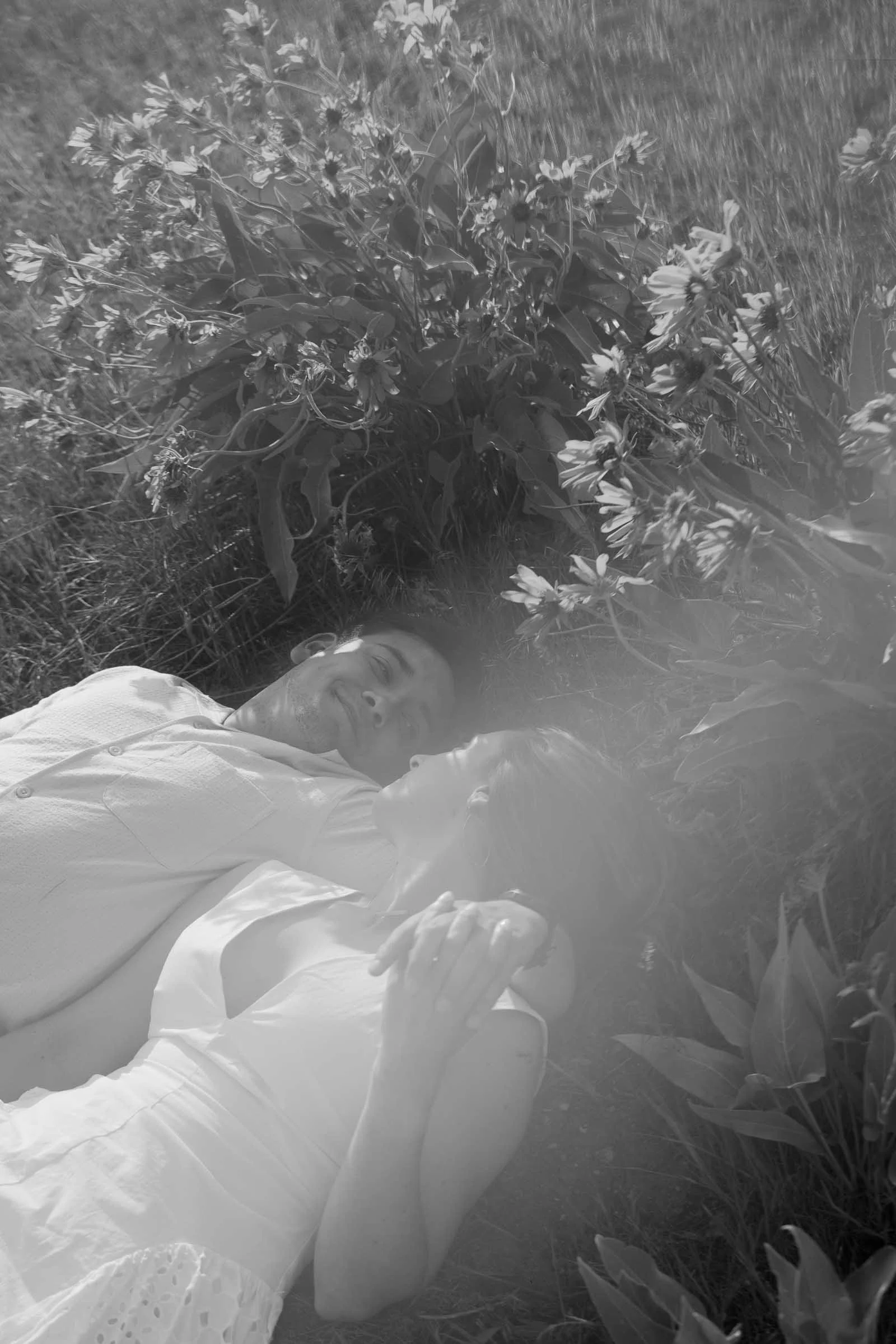  A couple lies in a grassy field among wildflowers, gazing at each other and smiling. Sunlight filters through the scene, creating a soft, dreamy atmosphere. 