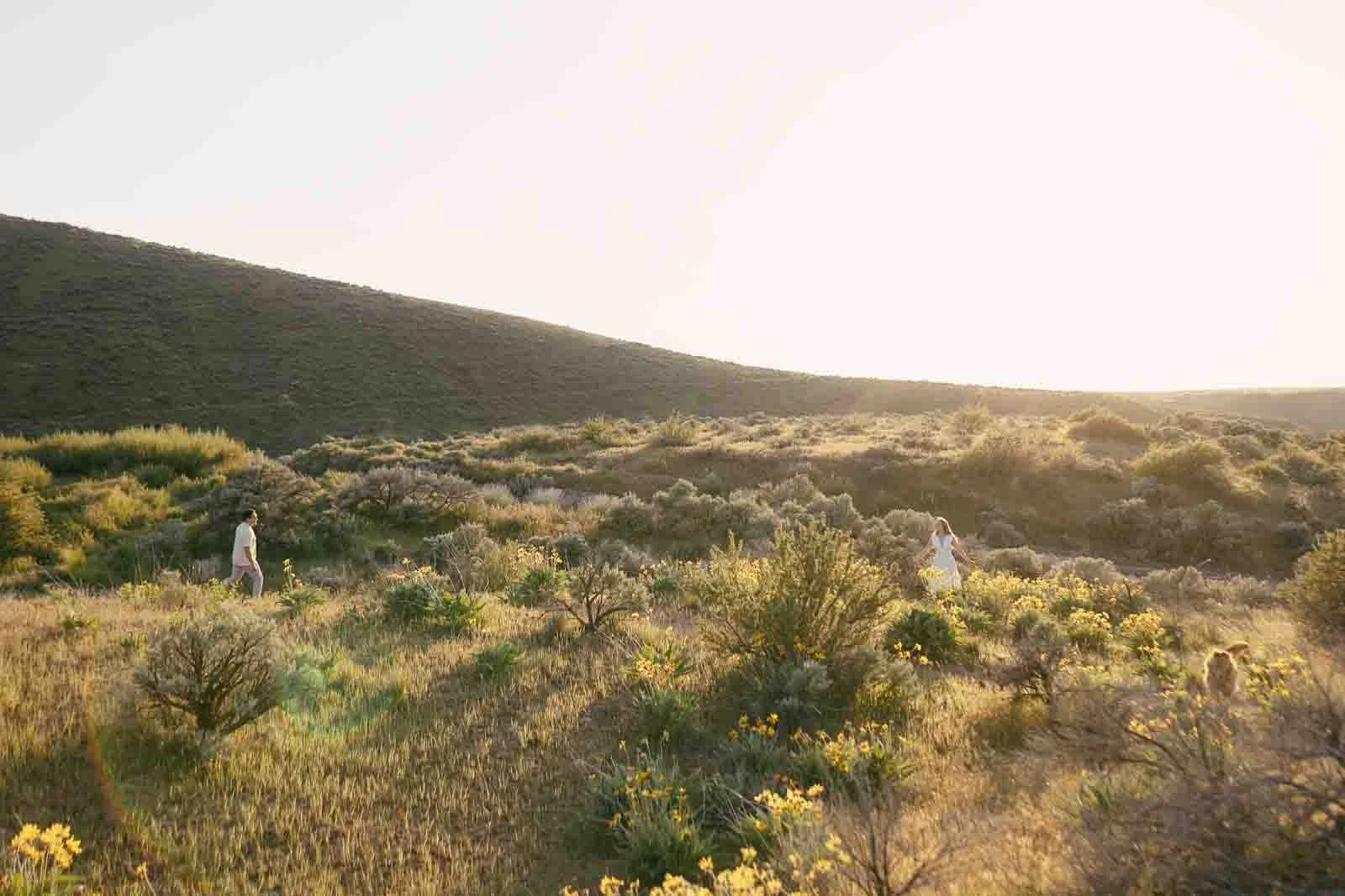  Two people walk through a sunlit, grassy field with scattered shrubs and yellow wildflowers, surrounded by rolling hills under a clear sky. 