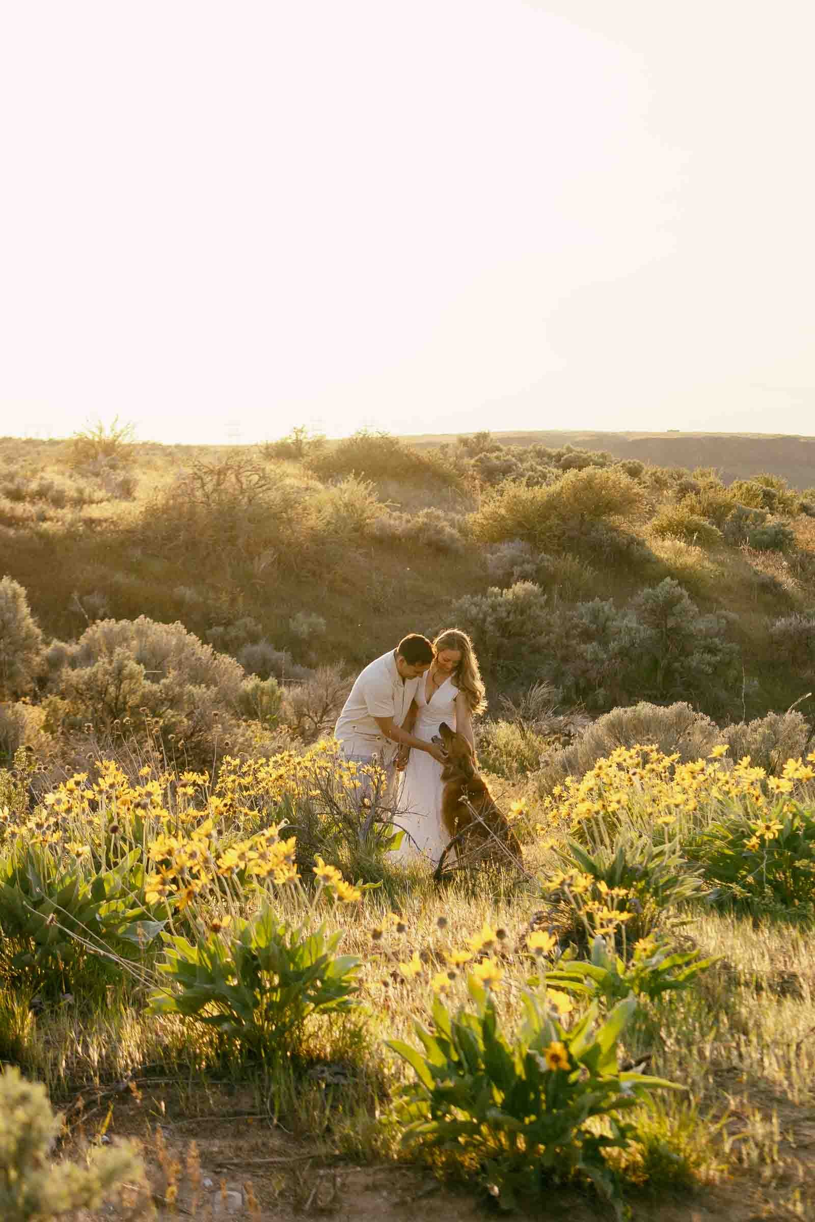  A couple dressed in white embraces and kisses in a field of yellow wildflowers at sunset, surrounded by green shrubs and rolling hills, with soft golden sunlight illuminating the scene. 