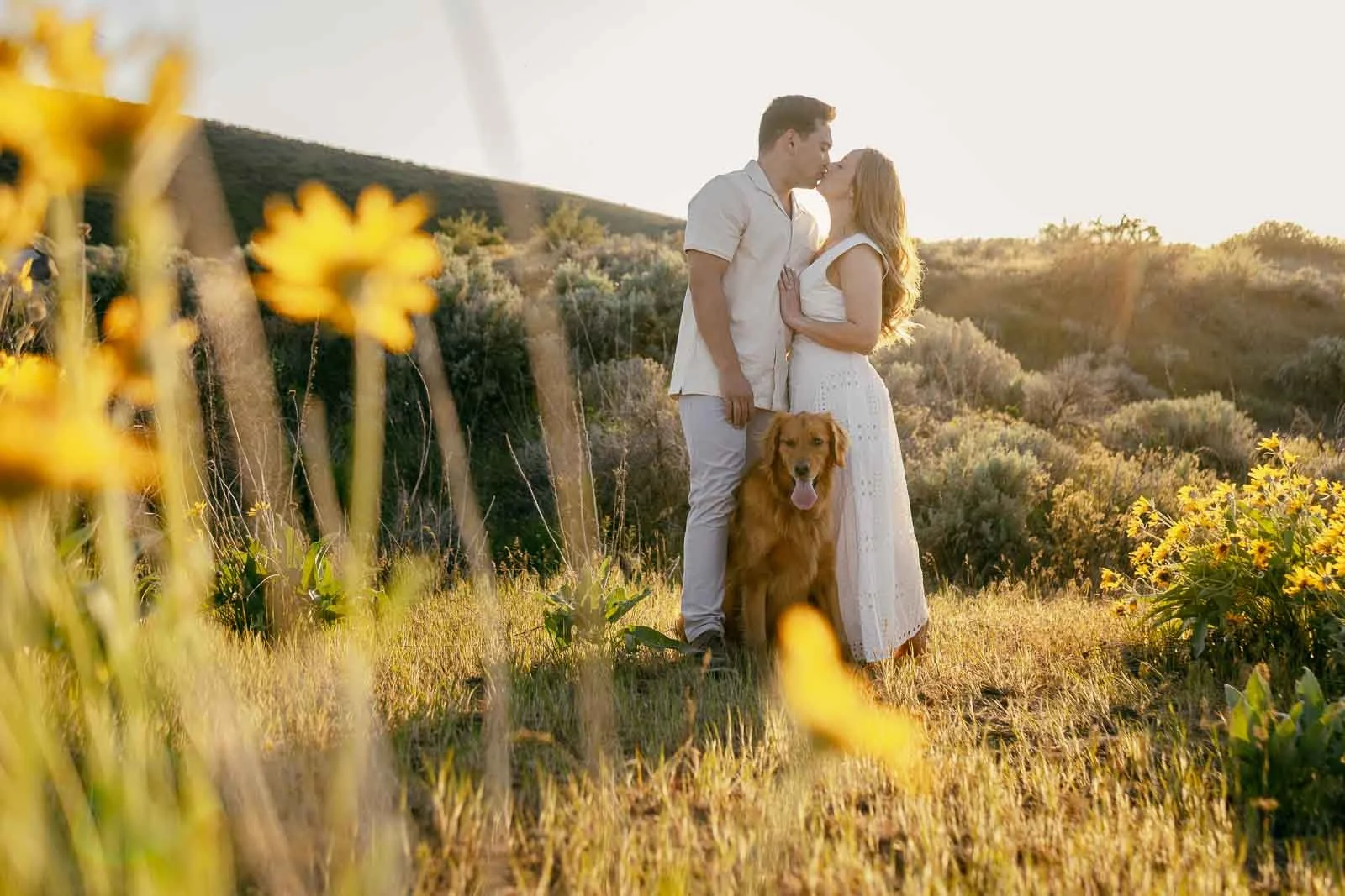  A couple in light-colored clothing stands in a field of yellow wildflowers at sunset, sharing a kiss. A golden retriever sits in front of them, looking at the camera. Sunlight bathes the scene warmly. 
