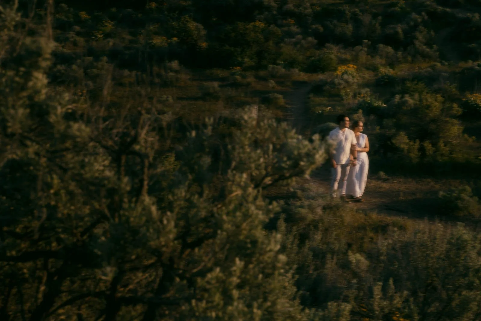  Two people in white clothing stand side by side on a hillside covered in green shrubs and yellow wildflowers, bathed in warm sunlight. Branches from nearby trees frame the lower edge of the scene. 