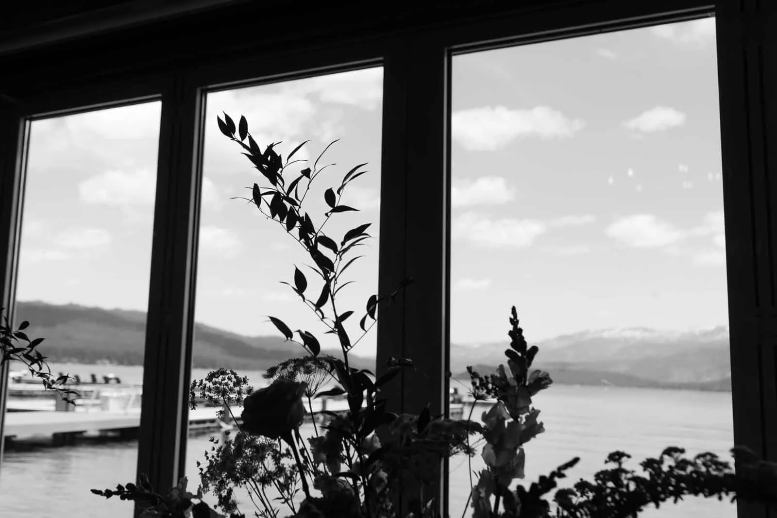  Black-and-white photo of a lake and mountains seen through large windows, with silhouetted plants in the foreground and a dock visible on the left. 