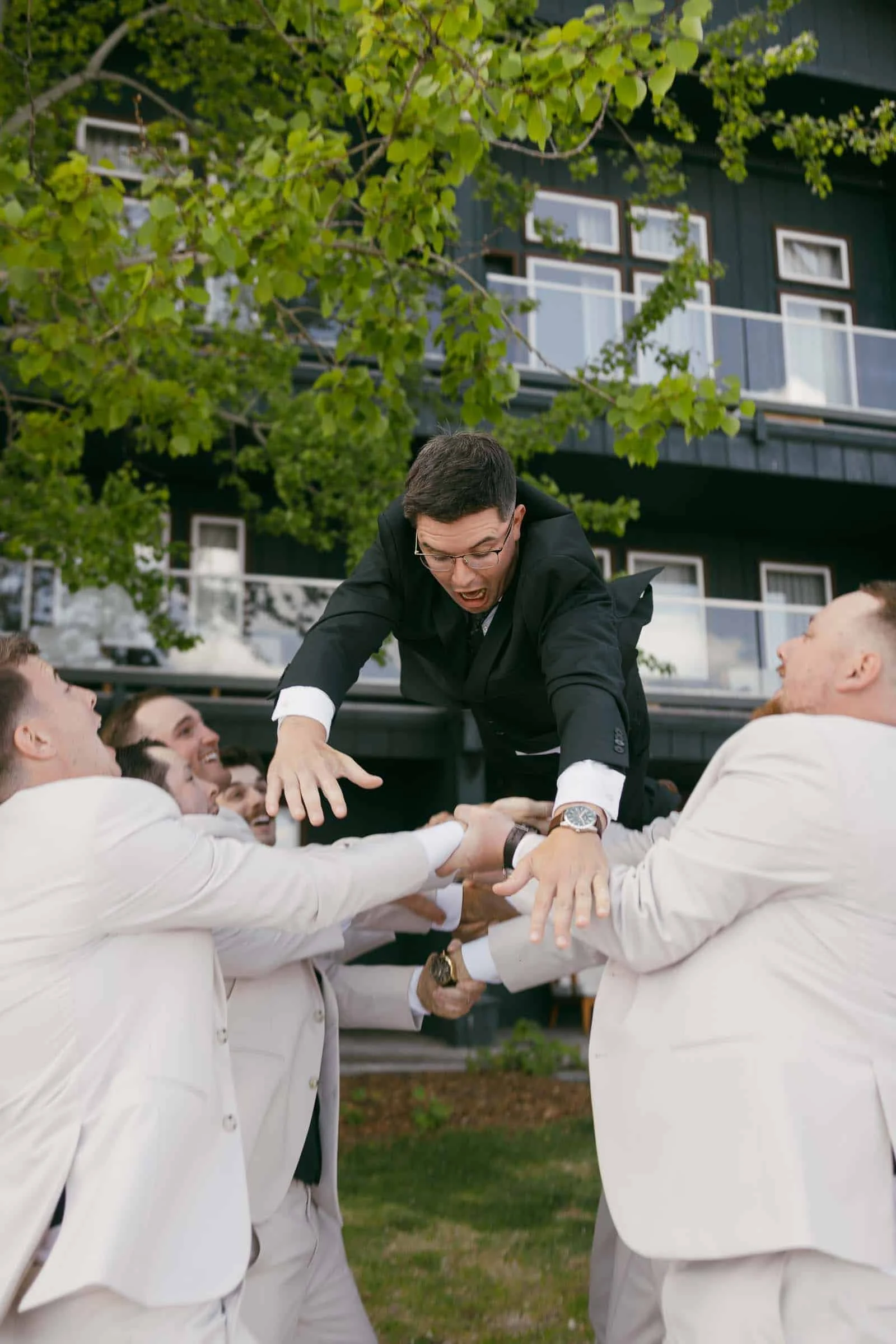  A group of men in light suits lift and toss a man in a black suit into the air outside, smiling and celebrating in front of a modern building with green trees overhead. 