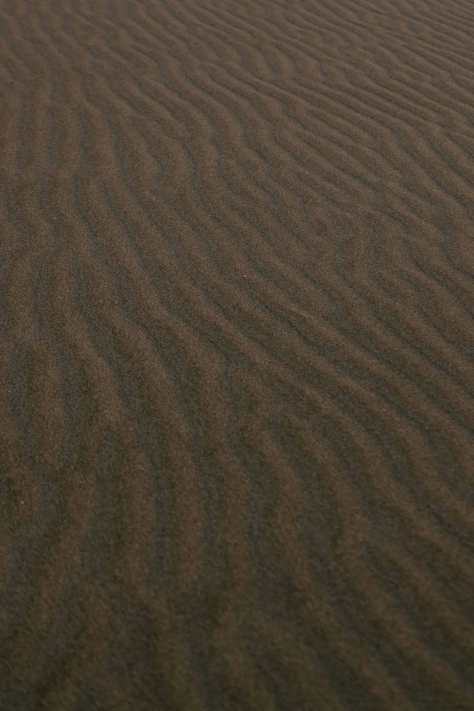  Close-up of sand with wavy, ripple patterns created by wind, resembling natural dunes. The texture is fine and the color is a muted brown, creating a calm and minimalistic scene. 