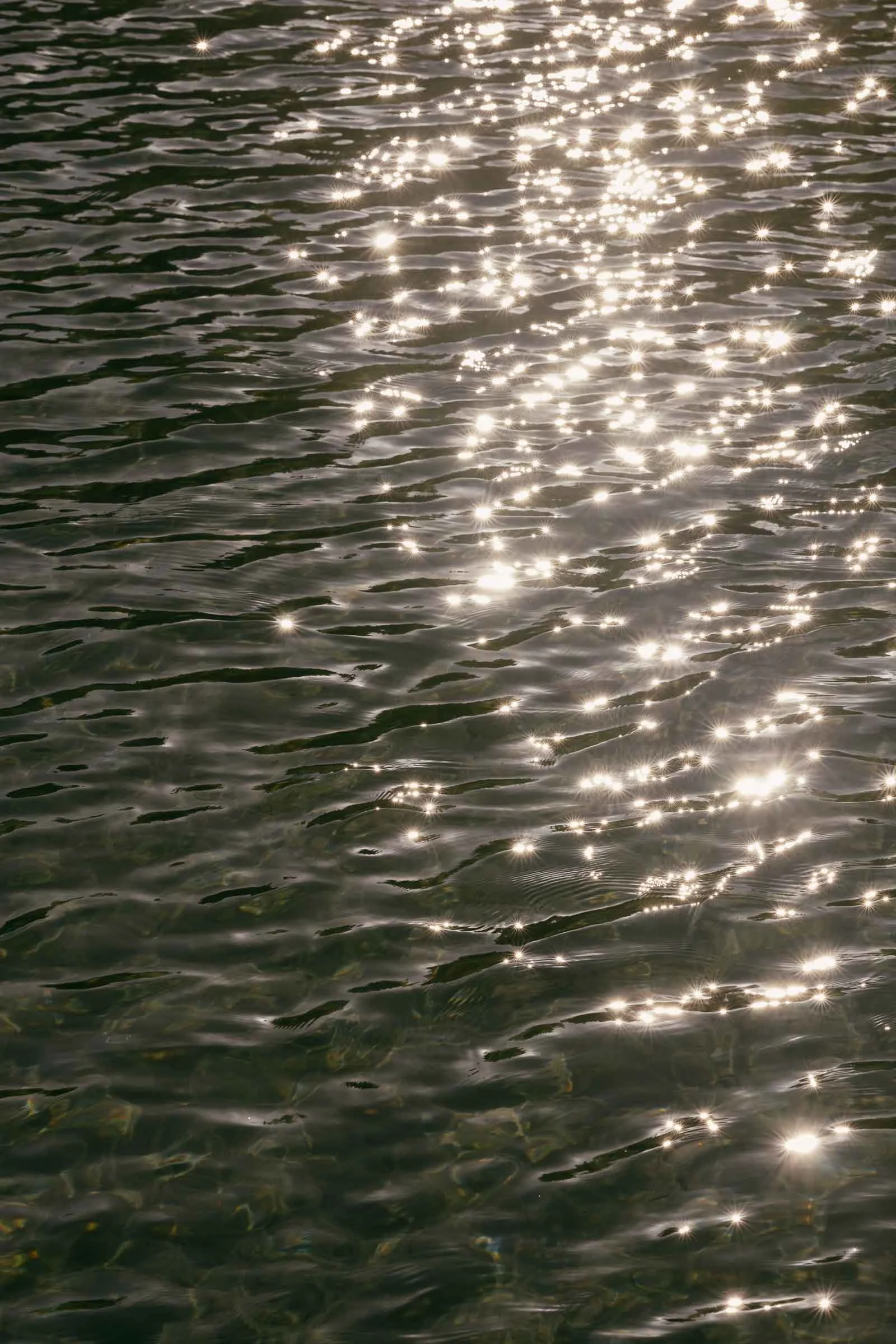  Sunlight reflects on gentle ripples of dark green water, creating sparkling, shimmering patterns across the surface. 