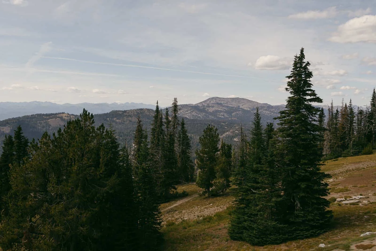  Subalpine fir trees and a dirt trail cross a grassy slope near the summit of Brundage Mountain, with a rocky peak and distant mountain ranges on the horizon. 