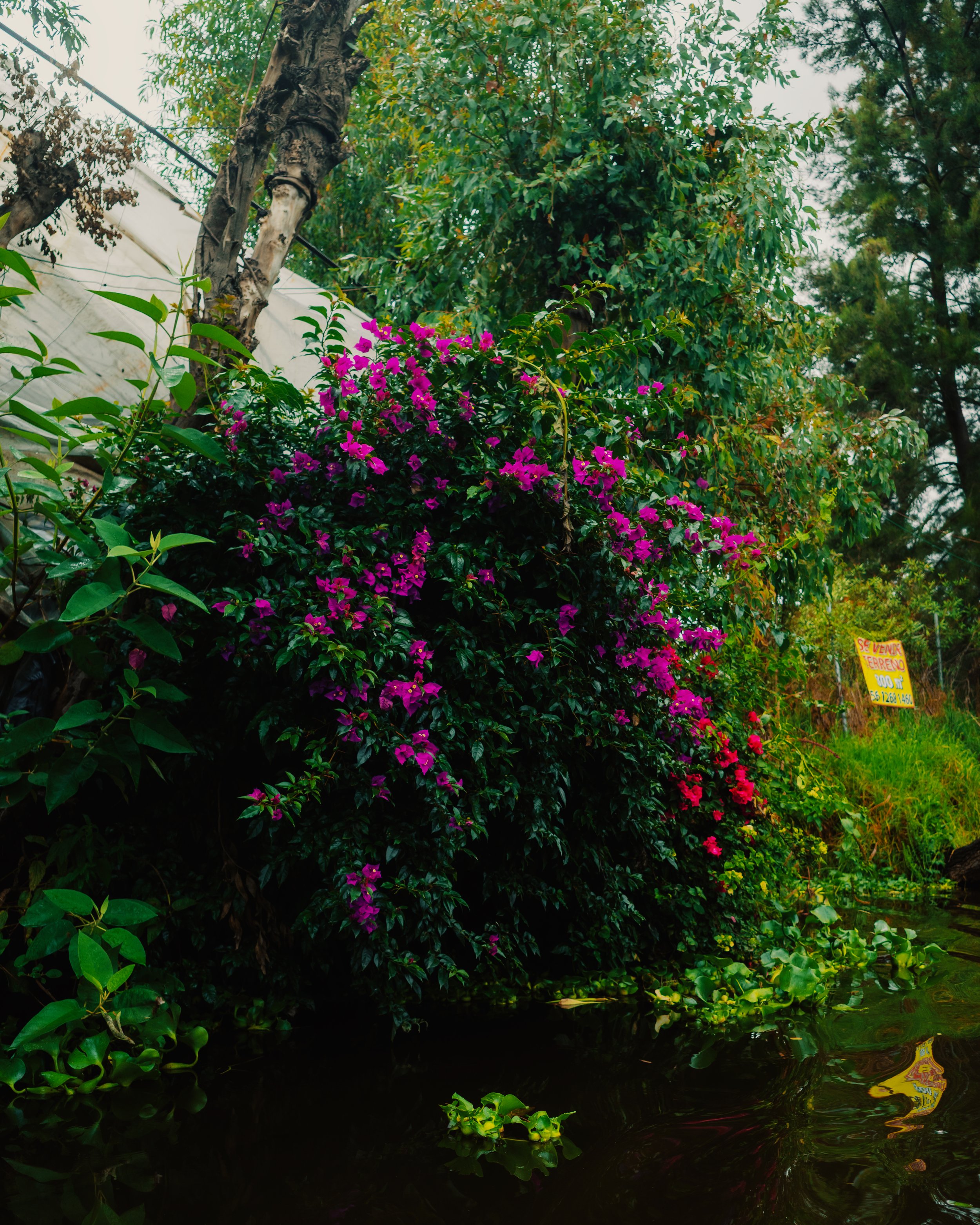 R0006731.jpg