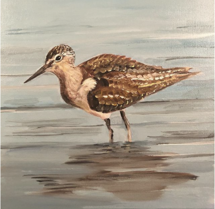 Amy Ludow Sandpiper 2.png