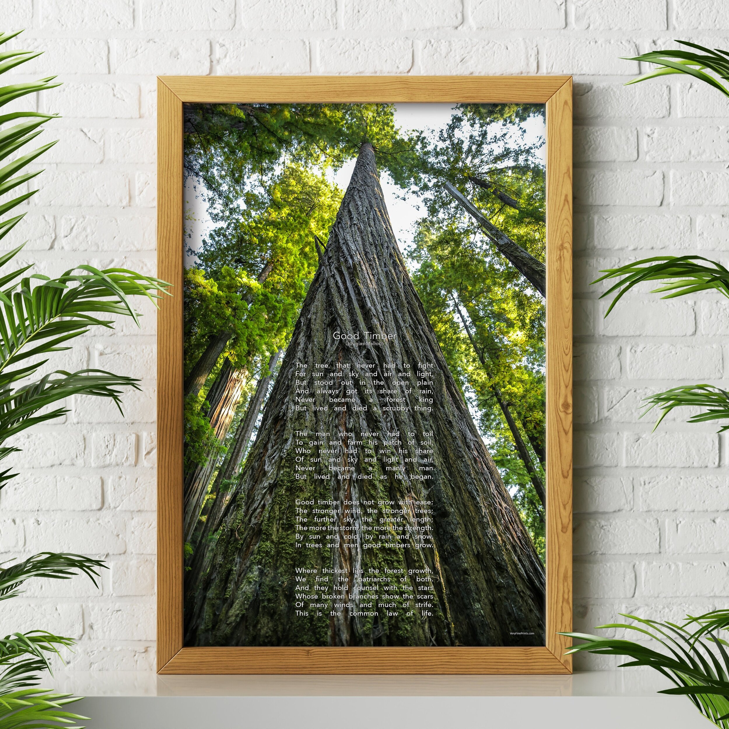 https://i.etsystatic.com/31275492/r/il/88f7ff/3342267242/il_fullxfull.3342267242_k0dk.jpg