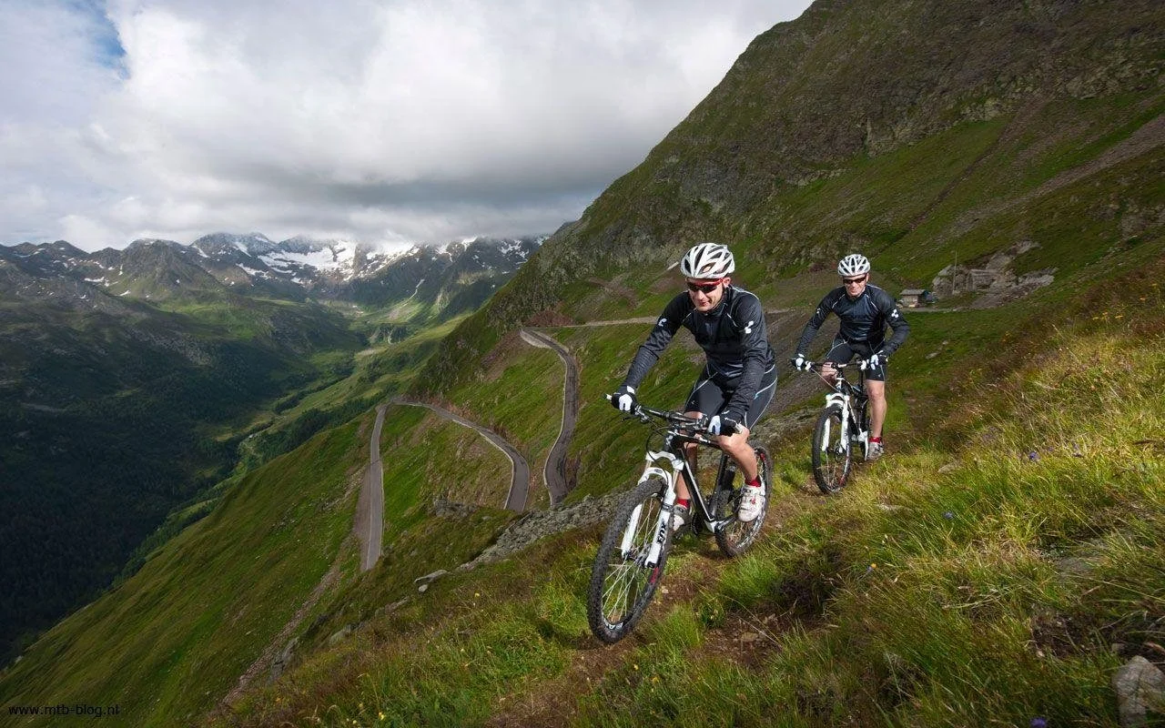 riding in nature.jpg