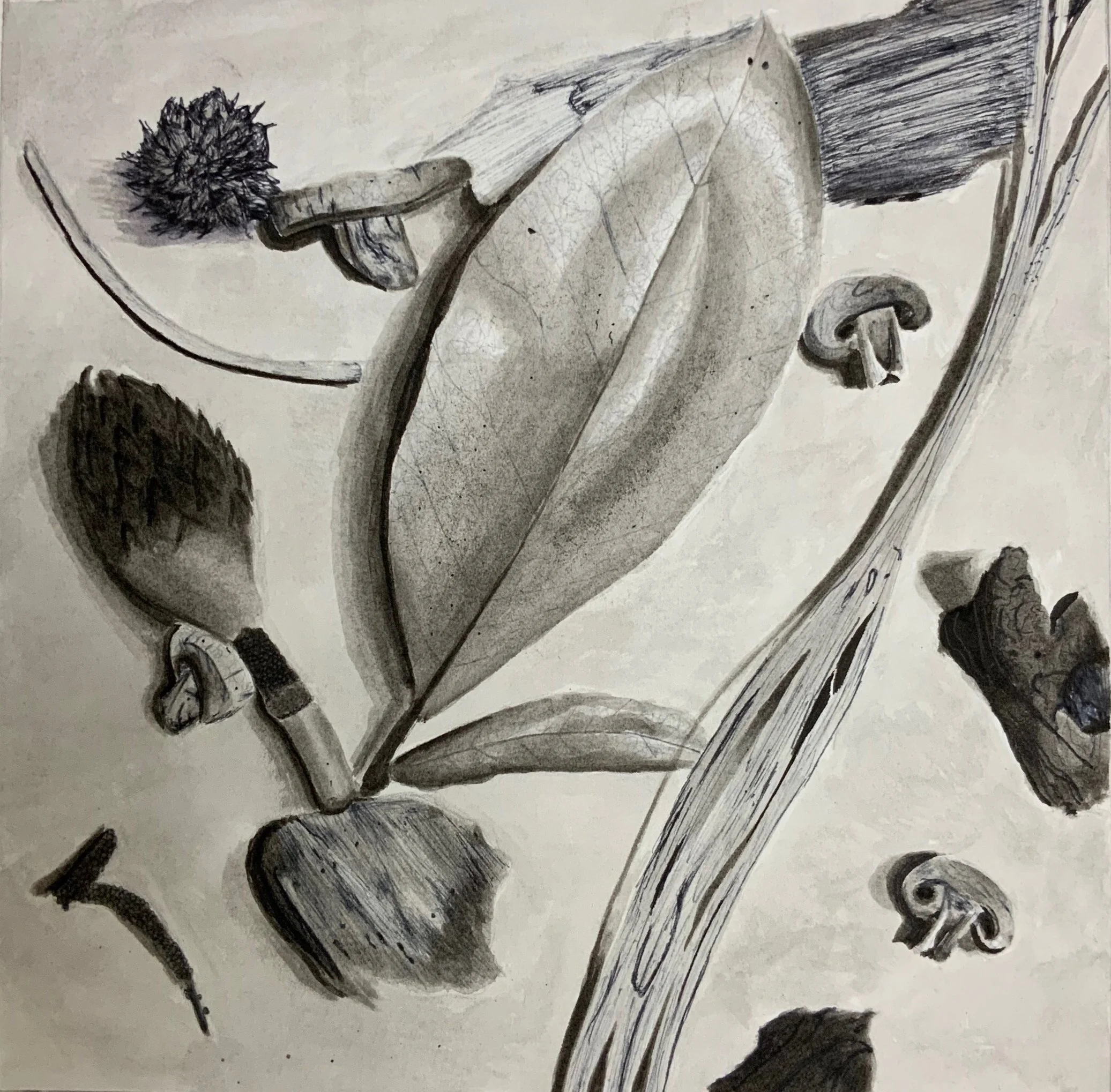 SAV_202010_FOUND_JACKEICHNER_DRAW100.jpg