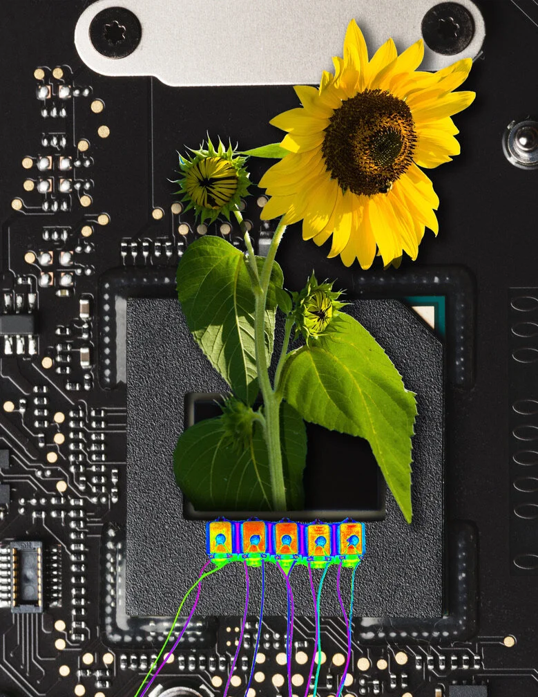 EB33CBD2-4015-46D8-BD95-2CBFD4CACB46_1_105_c.jpeg