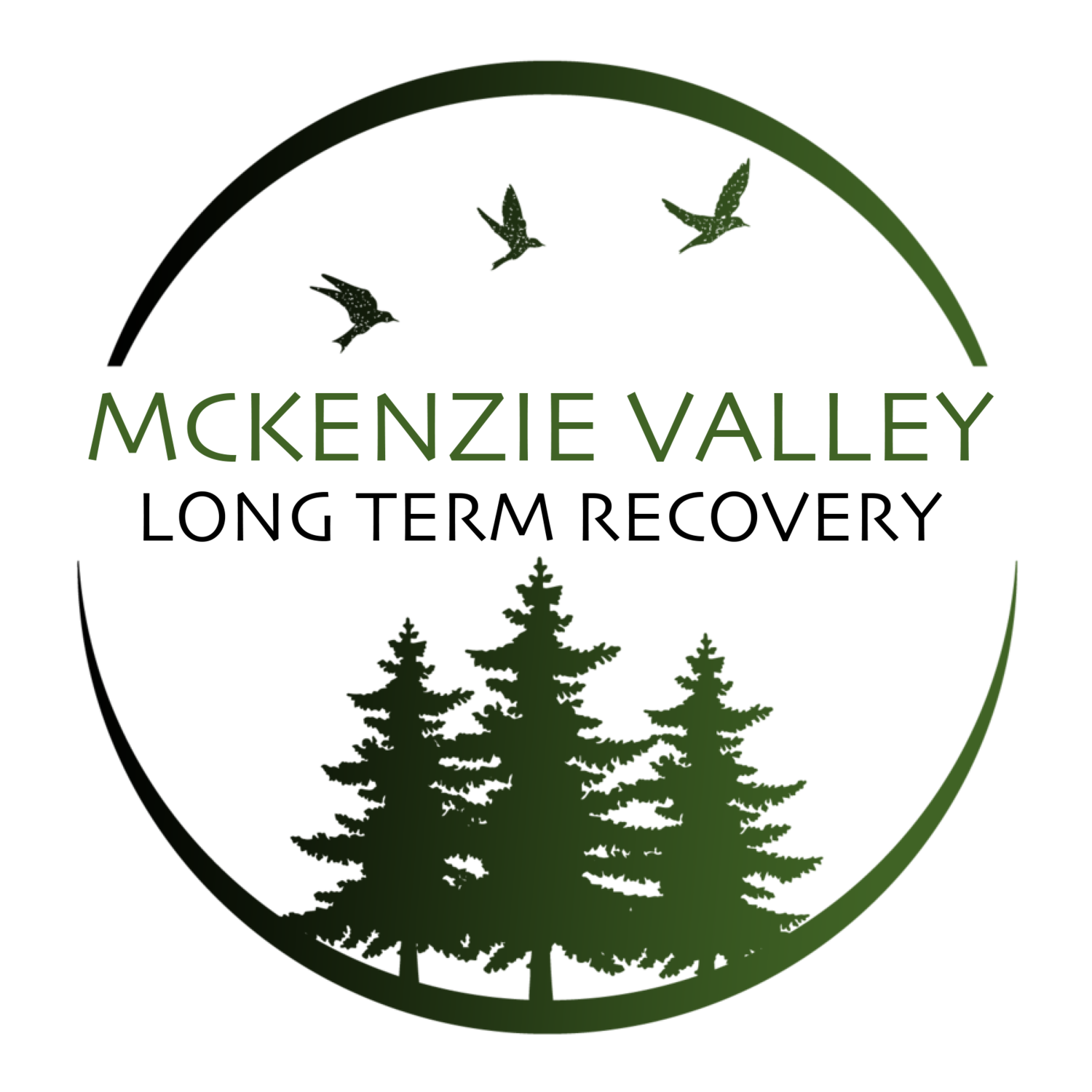 McKenzie Valley Long-Term Recovery Group