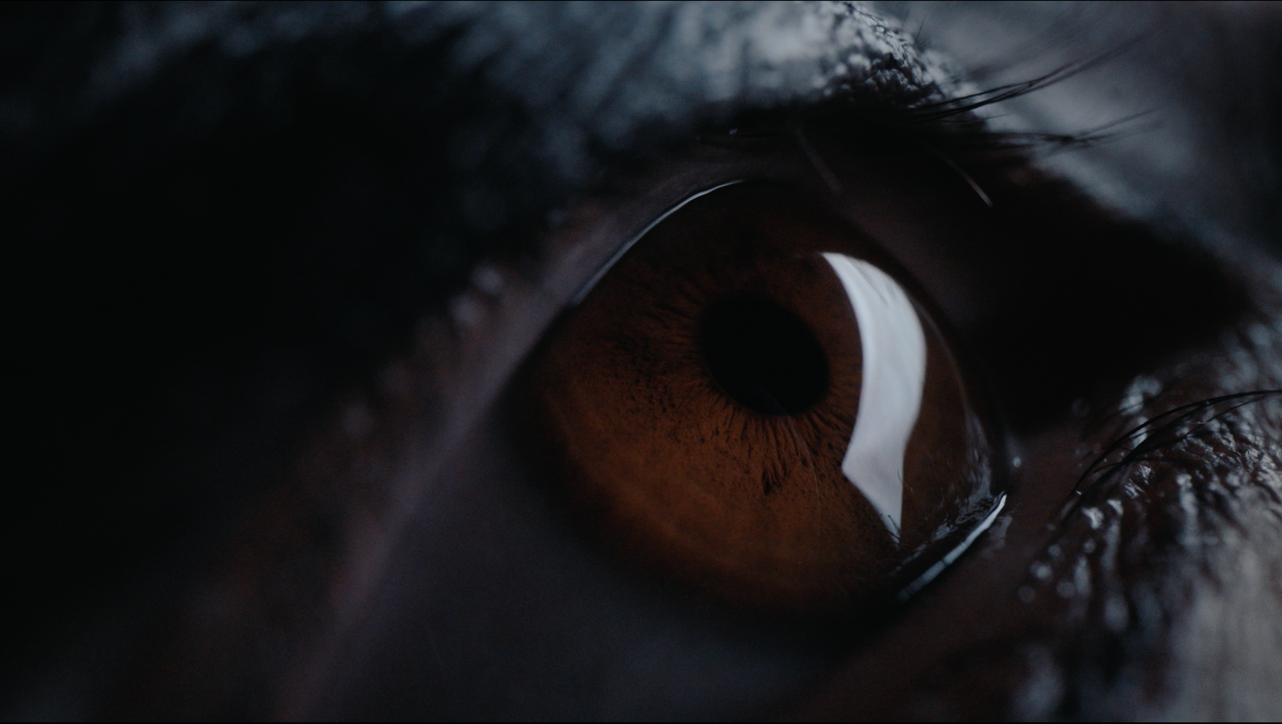 Screenshot 2025-11-23 at 6.35.00 AM.png