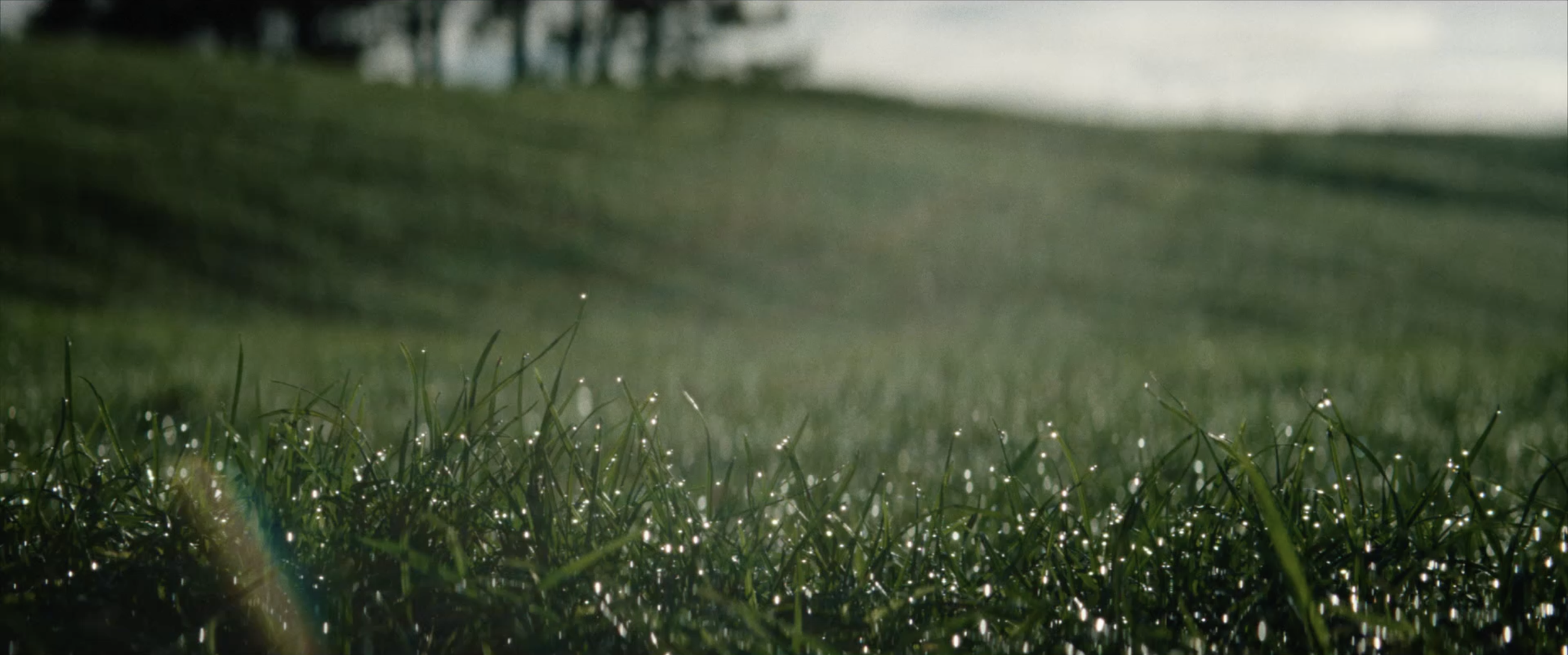 Screenshot 2025-11-22 at 5.50.48 AM.png