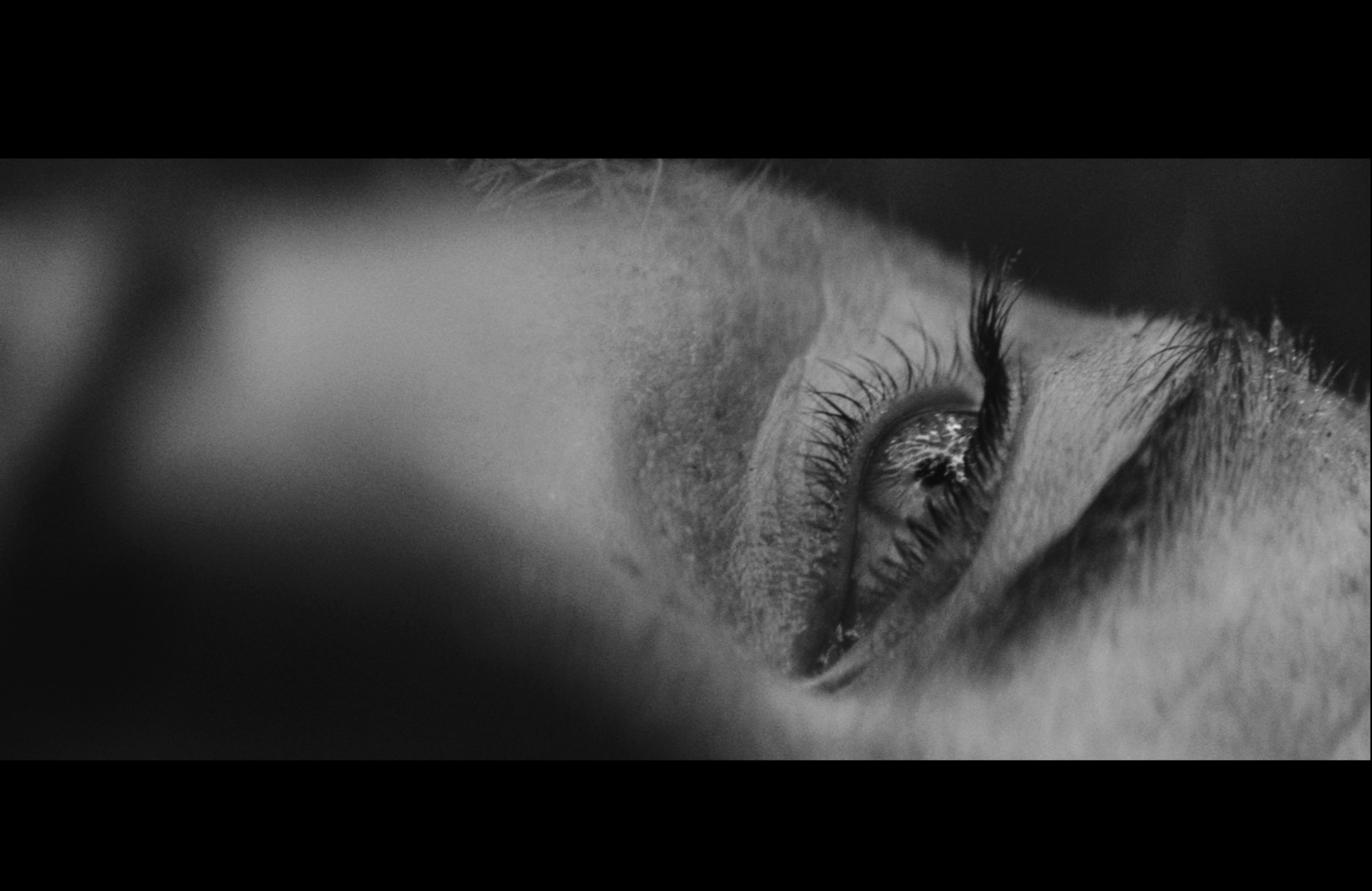 GOOD SPIRIT ENHANCEMENT ZONE