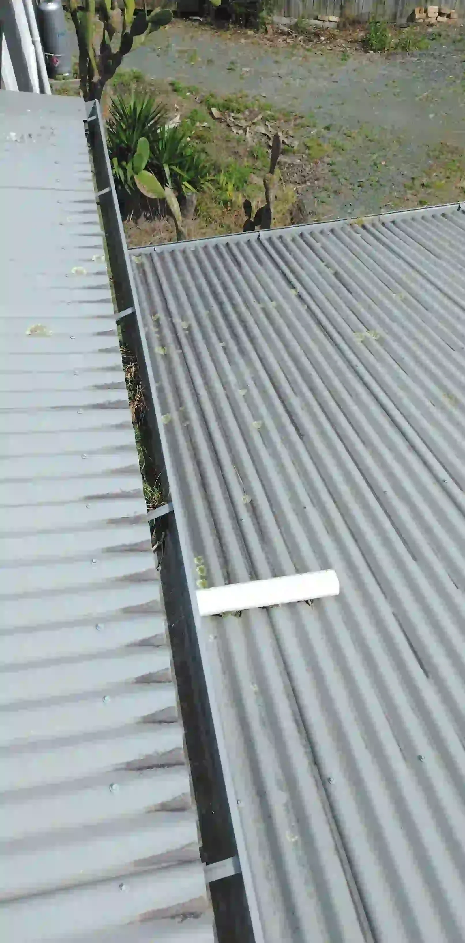 Before gutter clean