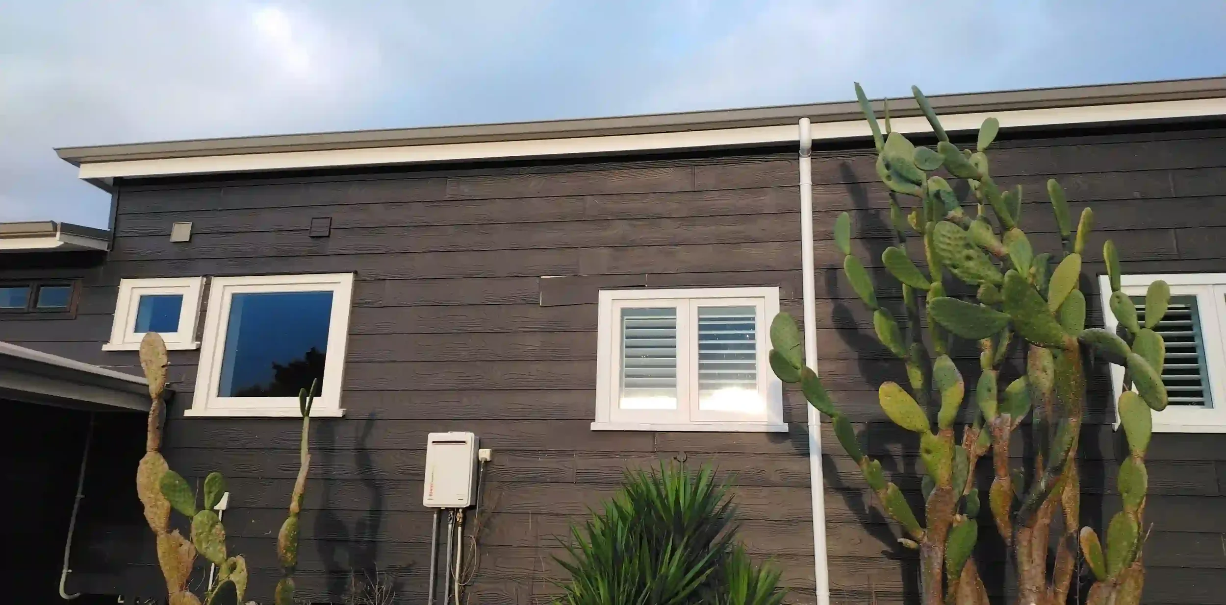 Complete house wash