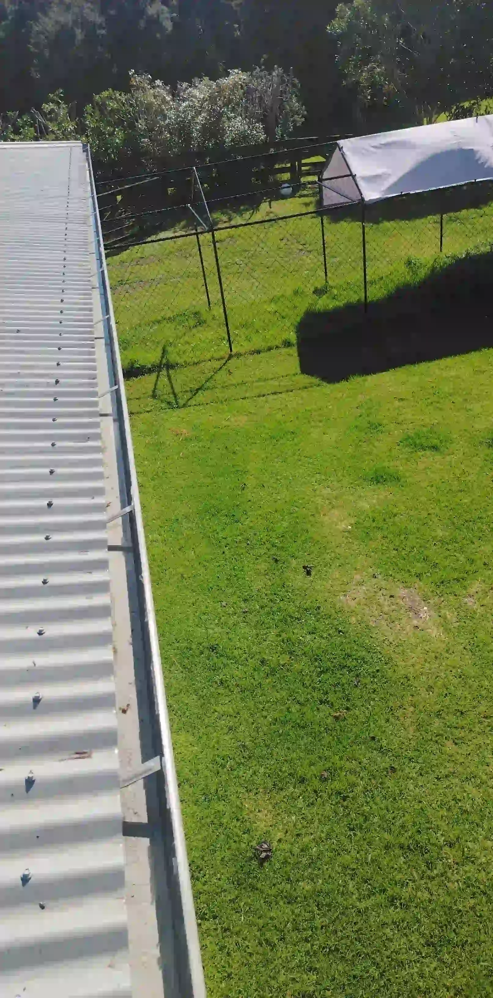 Complete gutter cleaning work