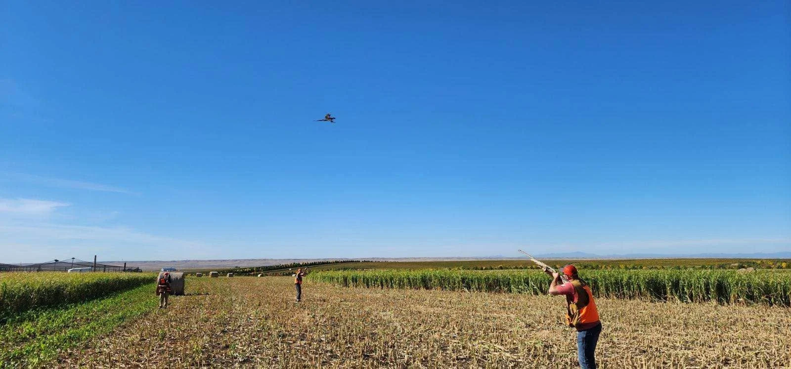 Three people in a field flying model rockets under a clear blue sky with distant mountains on the horizon.