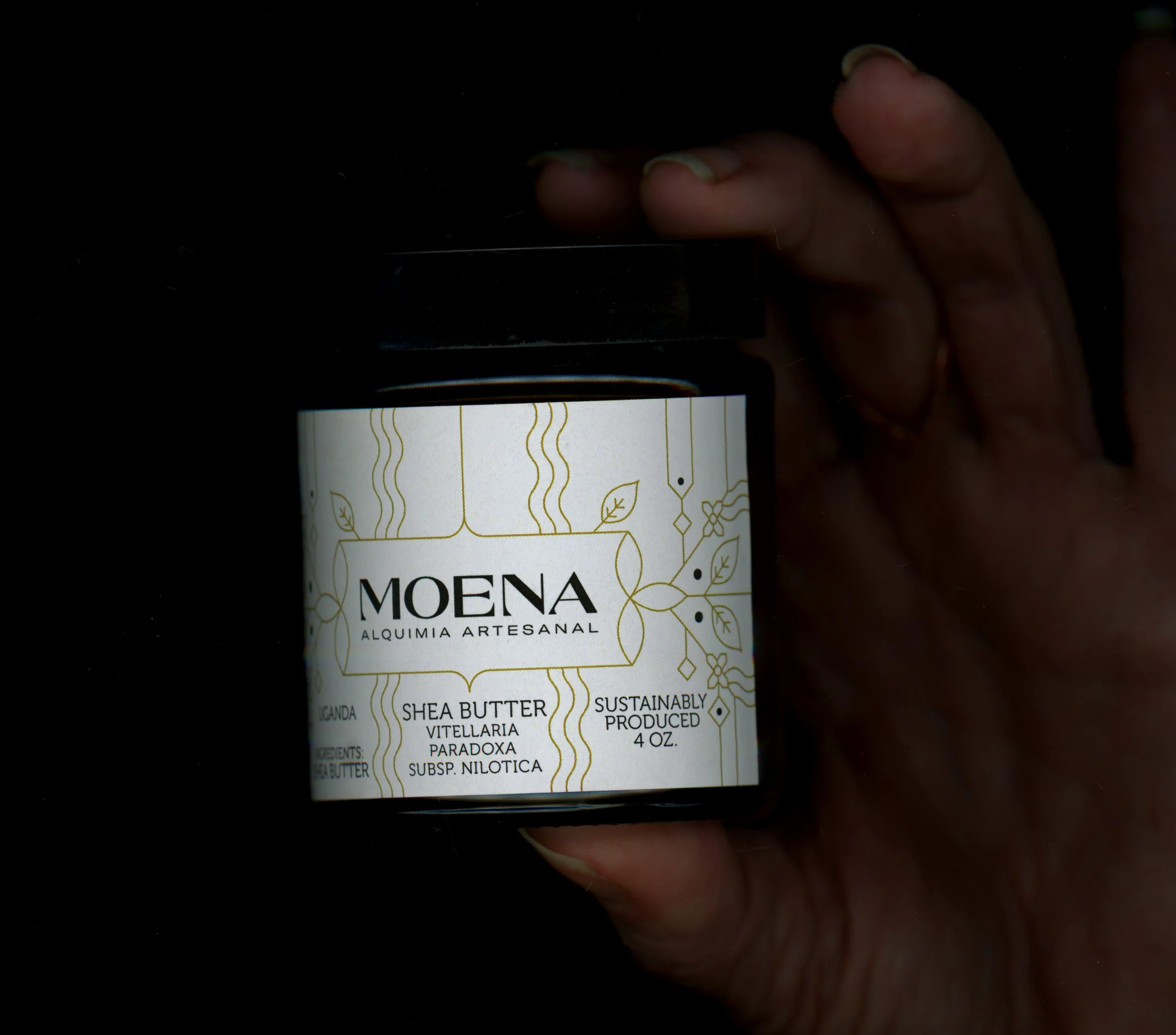 moena shea.jpg