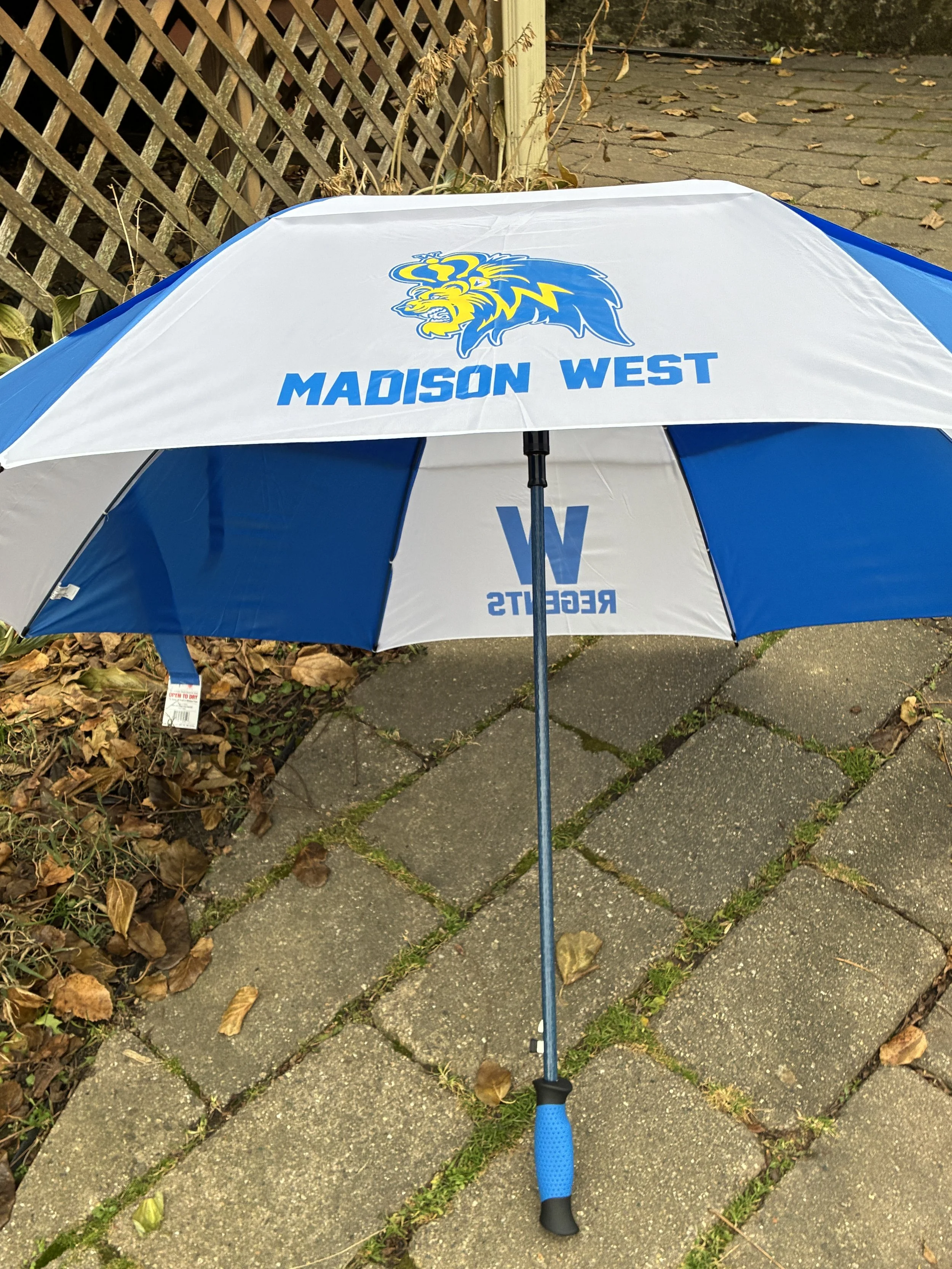 Umbrella (Open Side Lion).JPEG