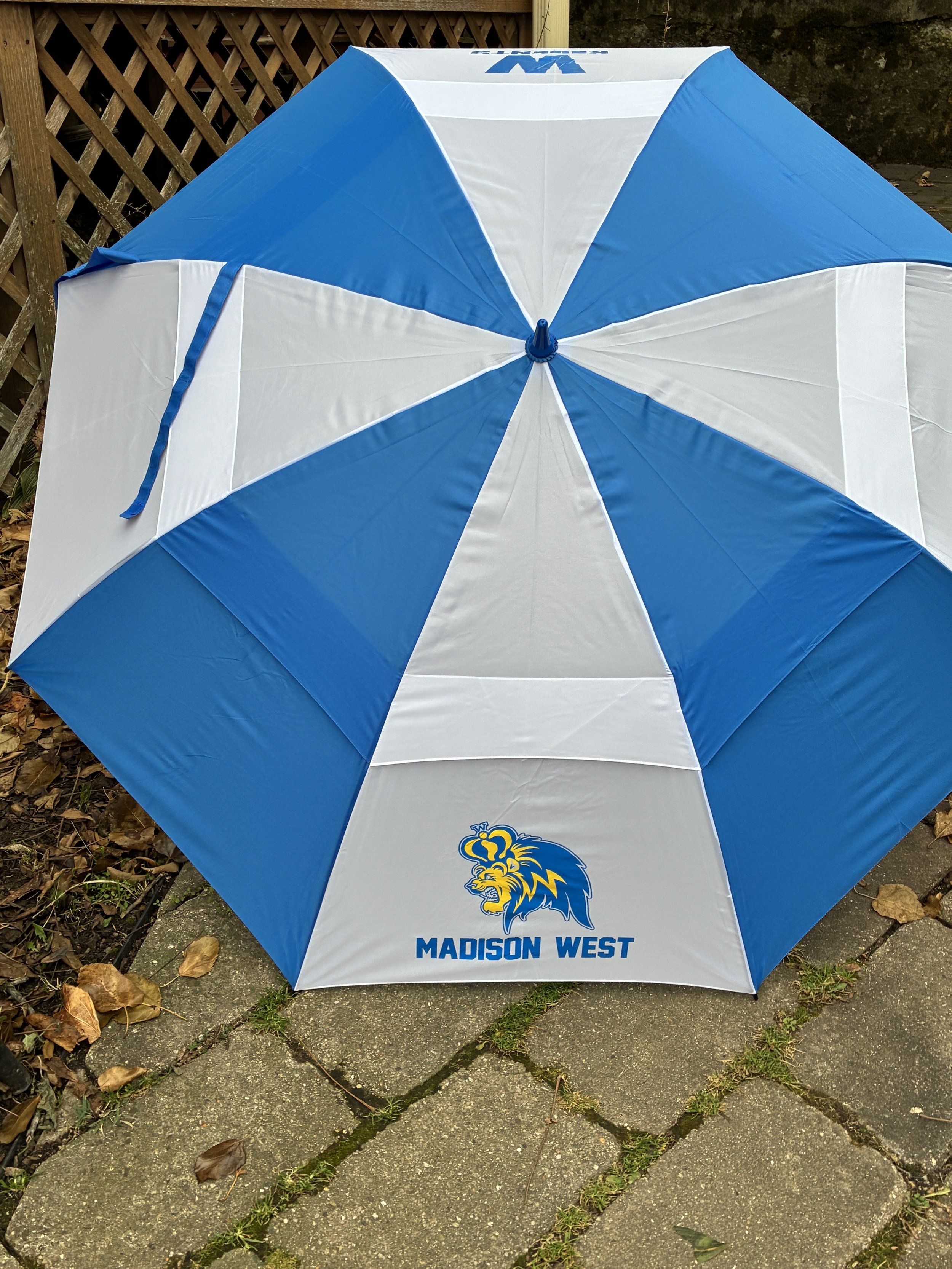 Umbrella (Open Top 2).JPEG